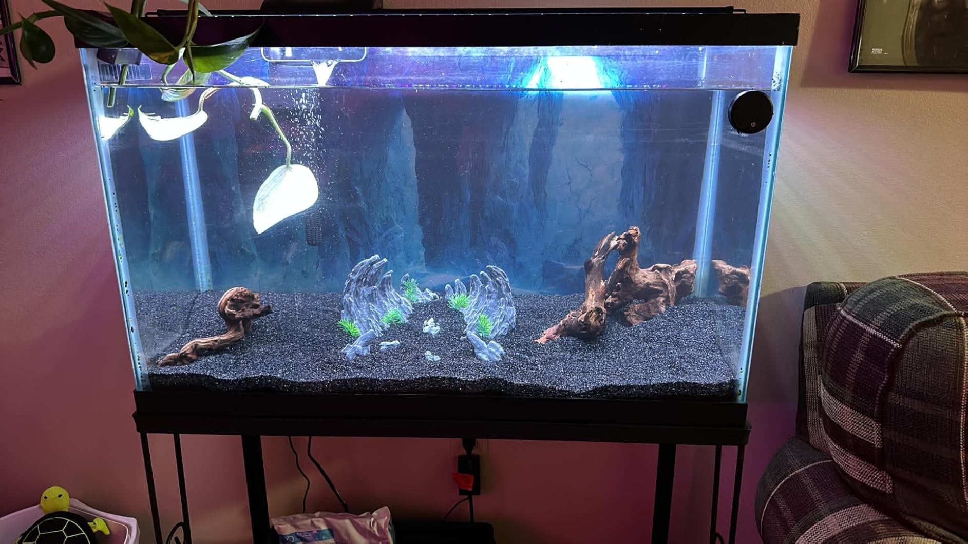 majoywoo Natural Driftwood for Aquarium Decor Fish Tank Decor Reptile Decor customer photo 2