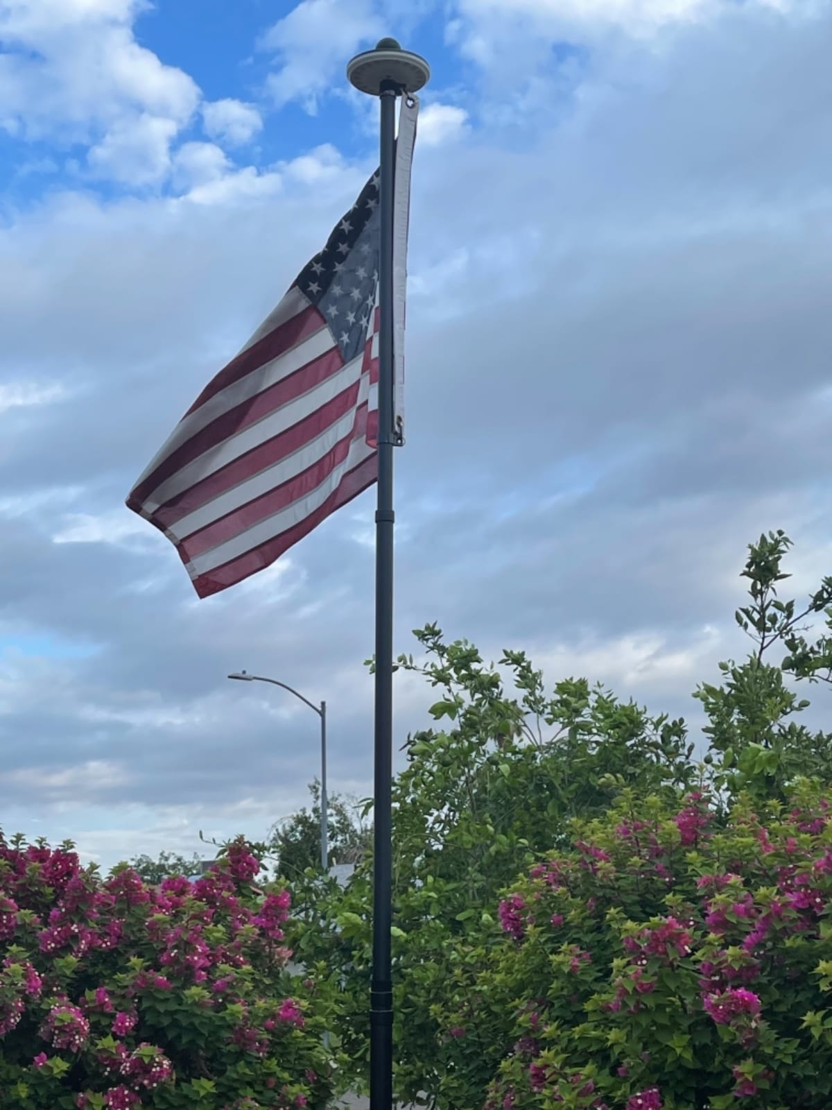 20 FT Telescoping Flag Pole, Heavy Duty Aerospace Aluminum Flagpole Kit customer photo 2