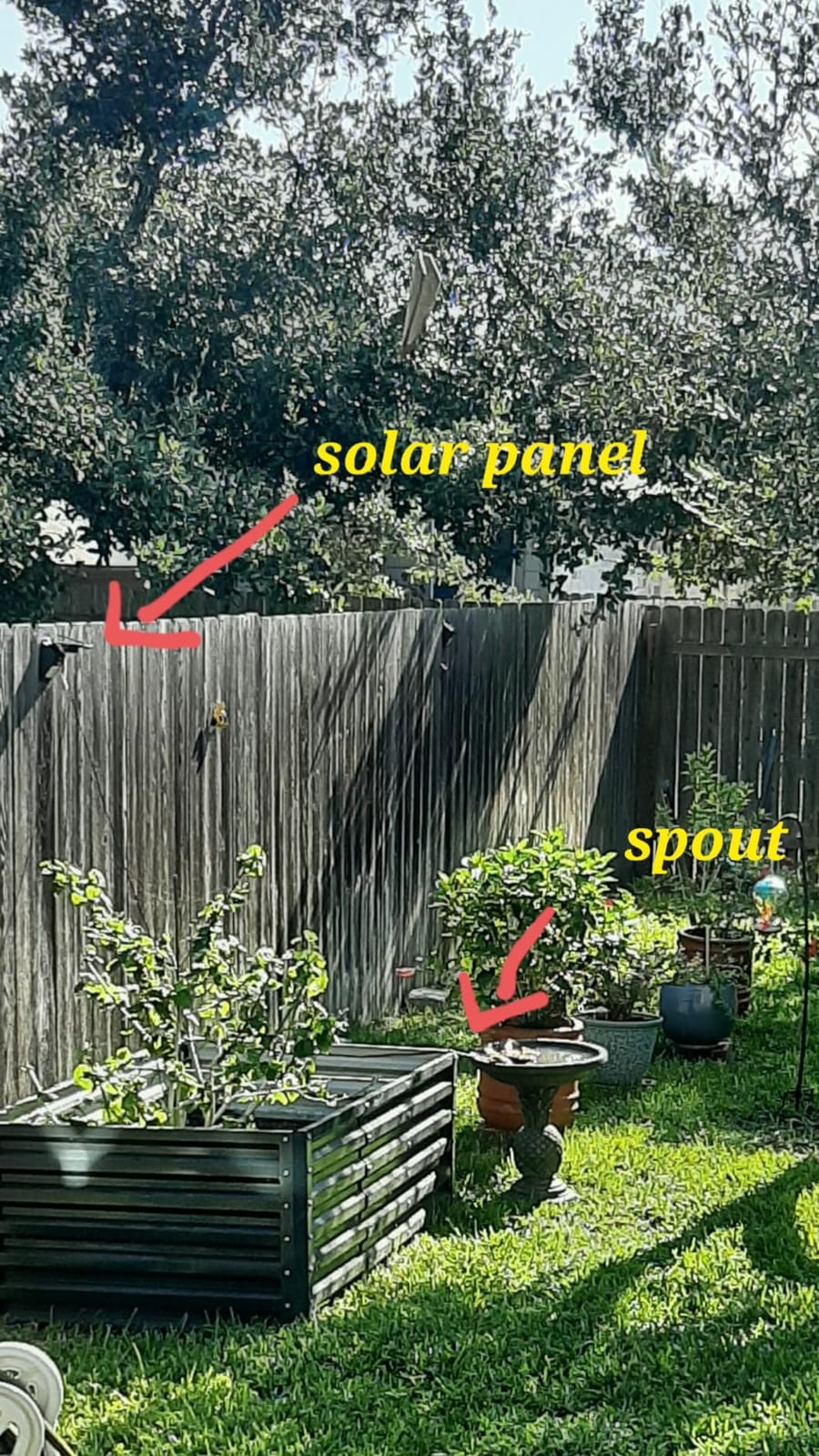 AISITIN DIY Solar Water Pump Kit for Water Feature Outdoor with 6 Nozzles | 2026 Solar Fountain Pump, Solar Powered Water Fountain for Bird Bath, Ponds, Garden, Fish Tank customer photo 2