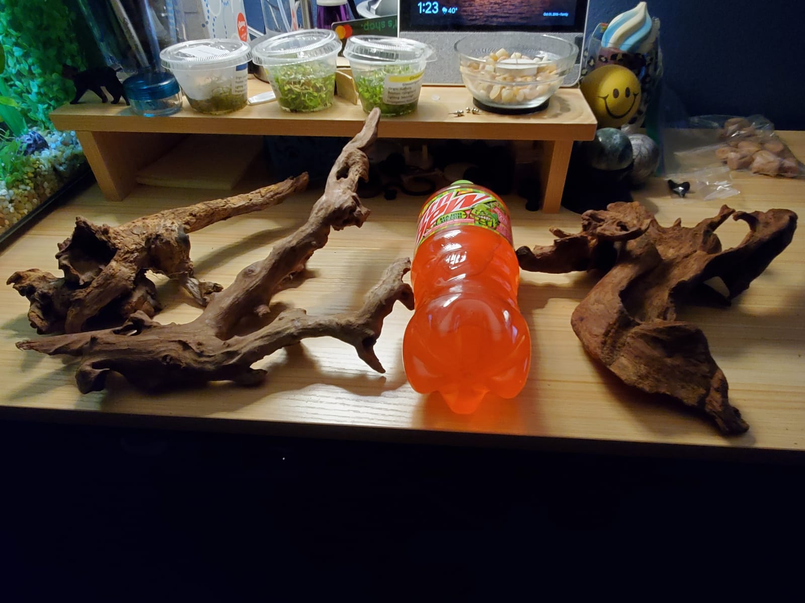 PINVNBY Natural Large Driftwood for Aquarium Reptile Terrarium Decor Decorations Assorted Branches Bearded Dragon Tank Accessories (11.5-16 inches/1 Pack) customer photo 2
