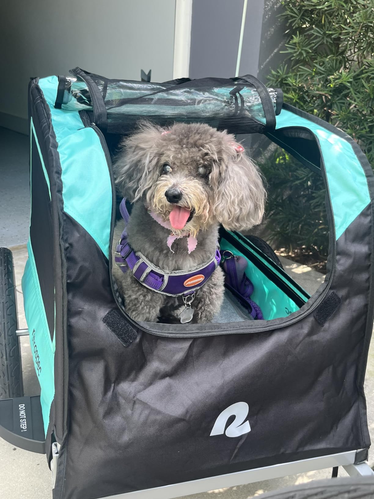 Retrospec Rover Waggin Pet and Dog Bike Trailer with Weather-Resistant Canopy & Mesh Shield - Supports up to 50 lbs customer photo 2