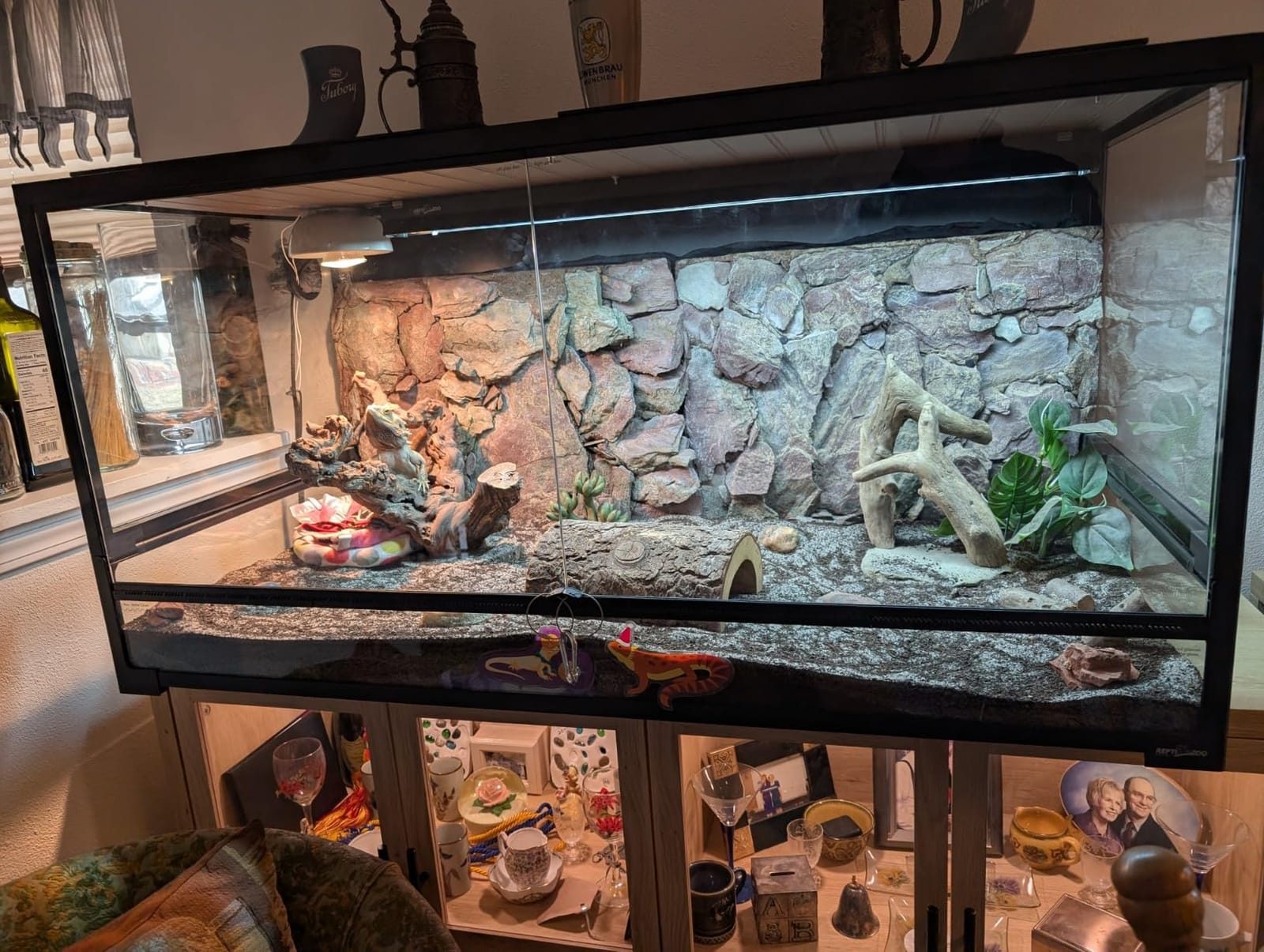 REPTI ZOO Collapsible 120 Gallon Reptile Tank, Tempered Glass Large Reptile Terrarium 48