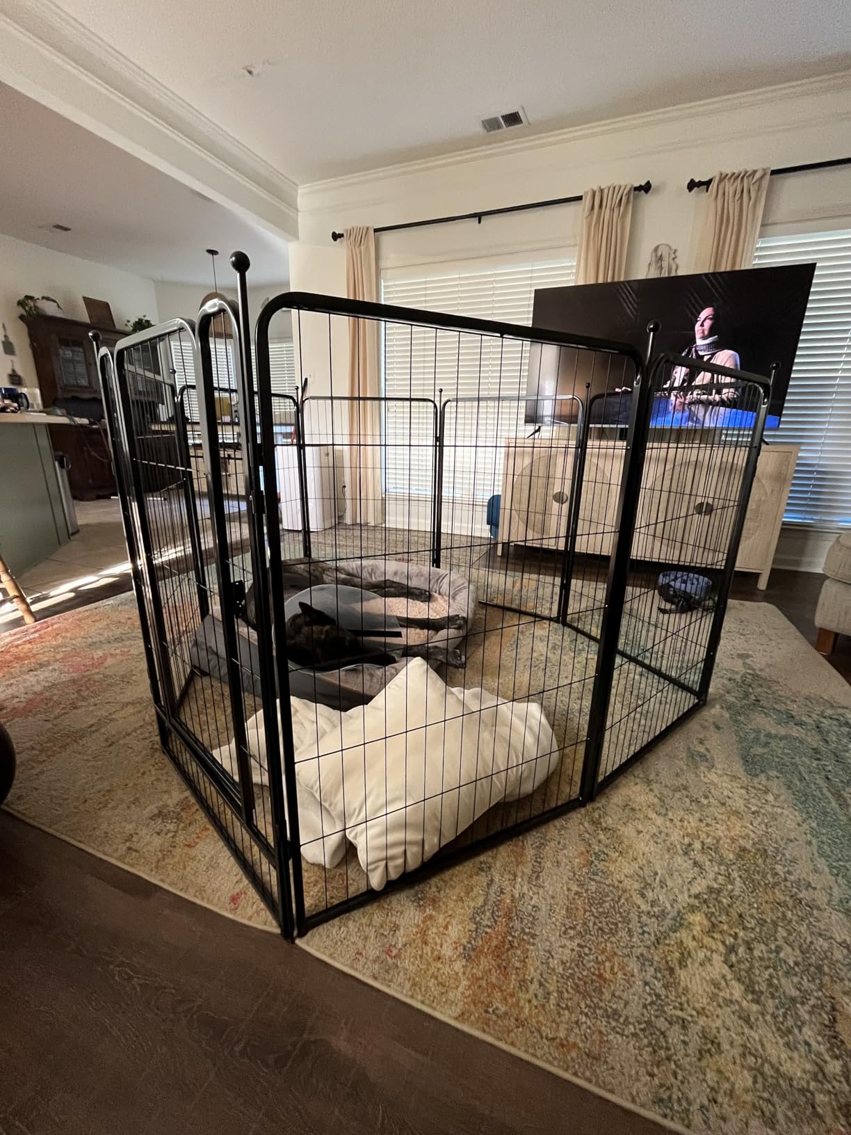 Dog Playpen, 40 inch 8 Panels Dog Fence Outdoor Heavy Duty Dog Pen for Large/Medium/Small Dogs, Indoor Puppy Playpen with Door Portable Pet Fence for RV Camping, Yard customer photo 2