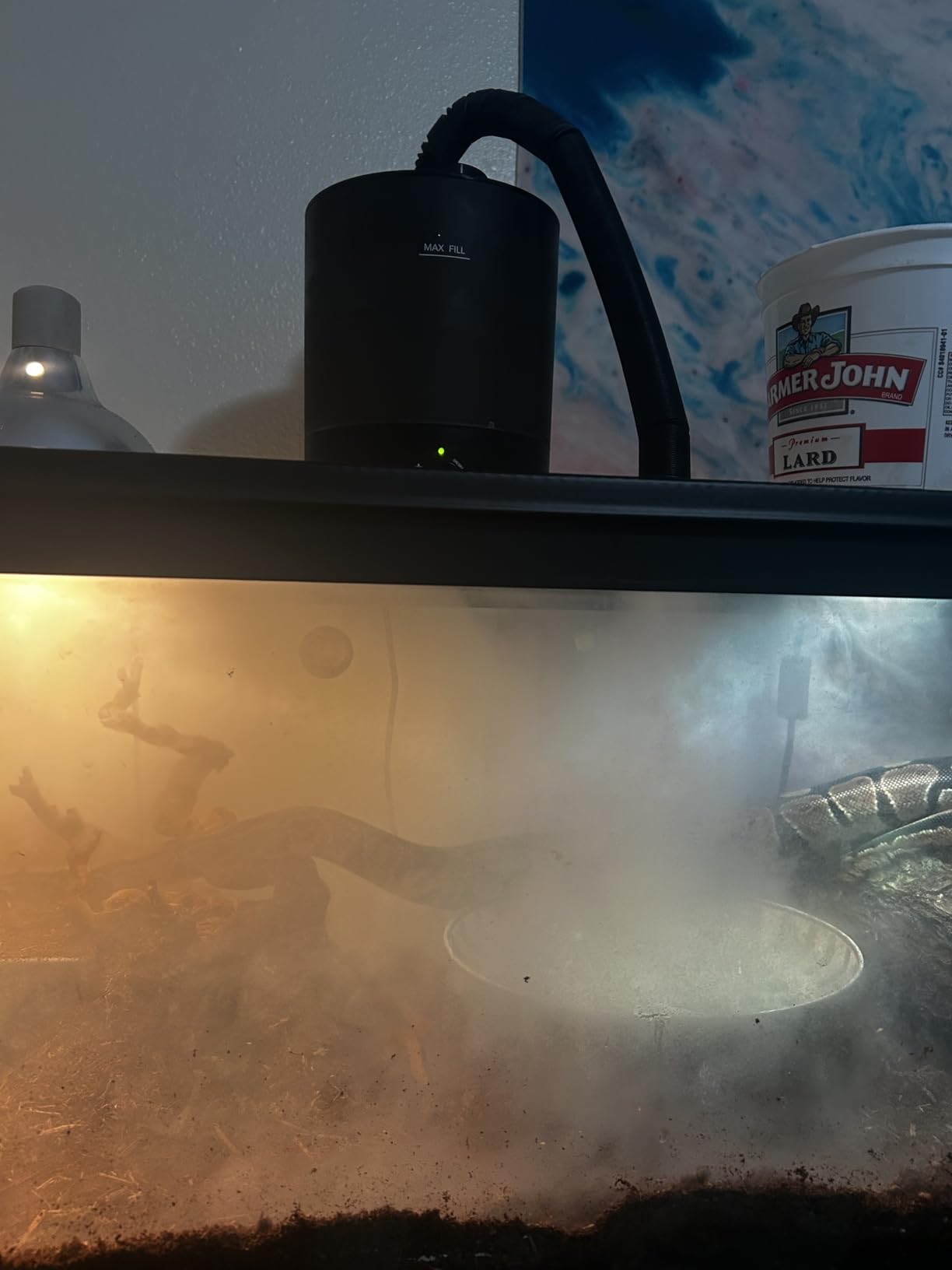 MRREPTILE Reptile Fogger Humidifiers Mister, Misting System for Reptiles, Terrarium Fogger Humidifier, 2.8L Large Capacity Reptifogger [UPGRADE] customer photo 2