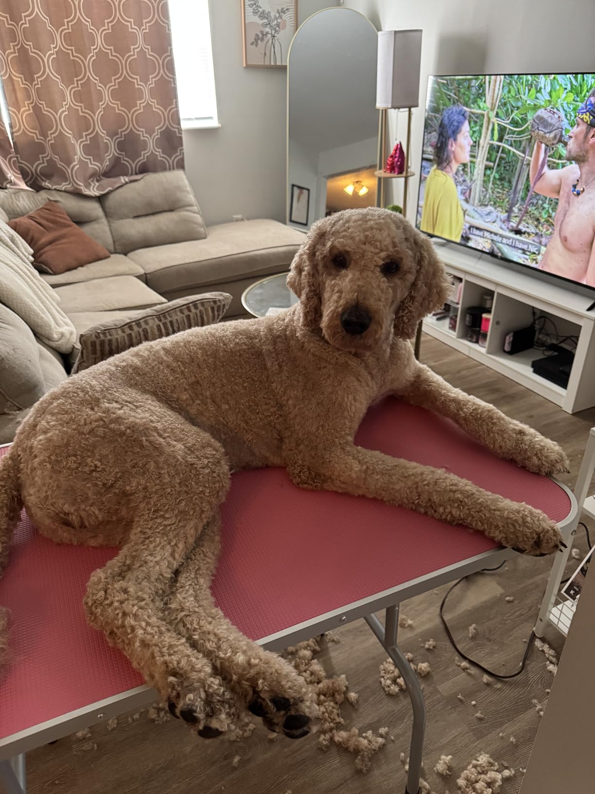 Yaheetech 46'' Pet Grooming Table for Large Dogs Adjustable Height - Portable Trimming Table Drying Table w/Arm/Noose/Mesh Tray Maximum Capacity Up to 265Lb -Pink customer photo 1