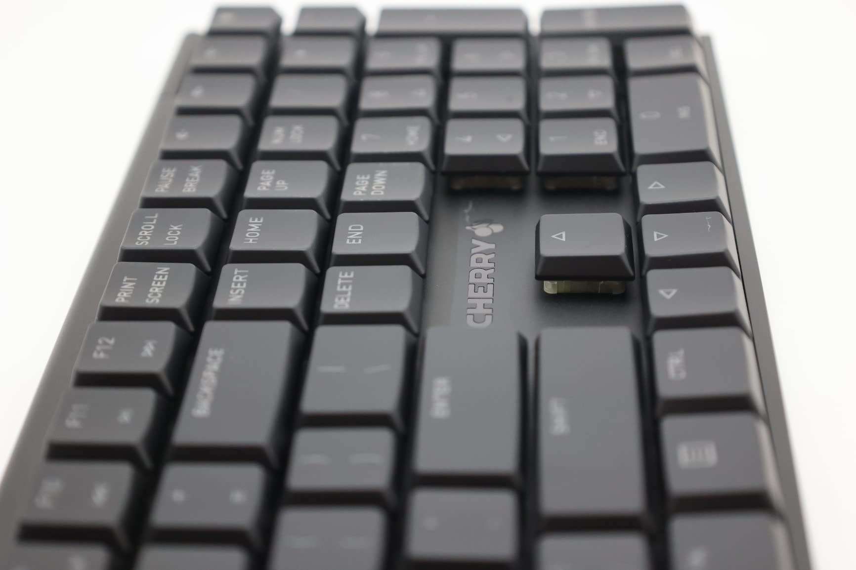 Cherry MX 10.0N RGB Mechanical Keyboard MX Low Profile Speed switches, Aluminum housing, Premium Keyboard for Gaming and Work. G8A-25010LVBUS-2 customer photo 1