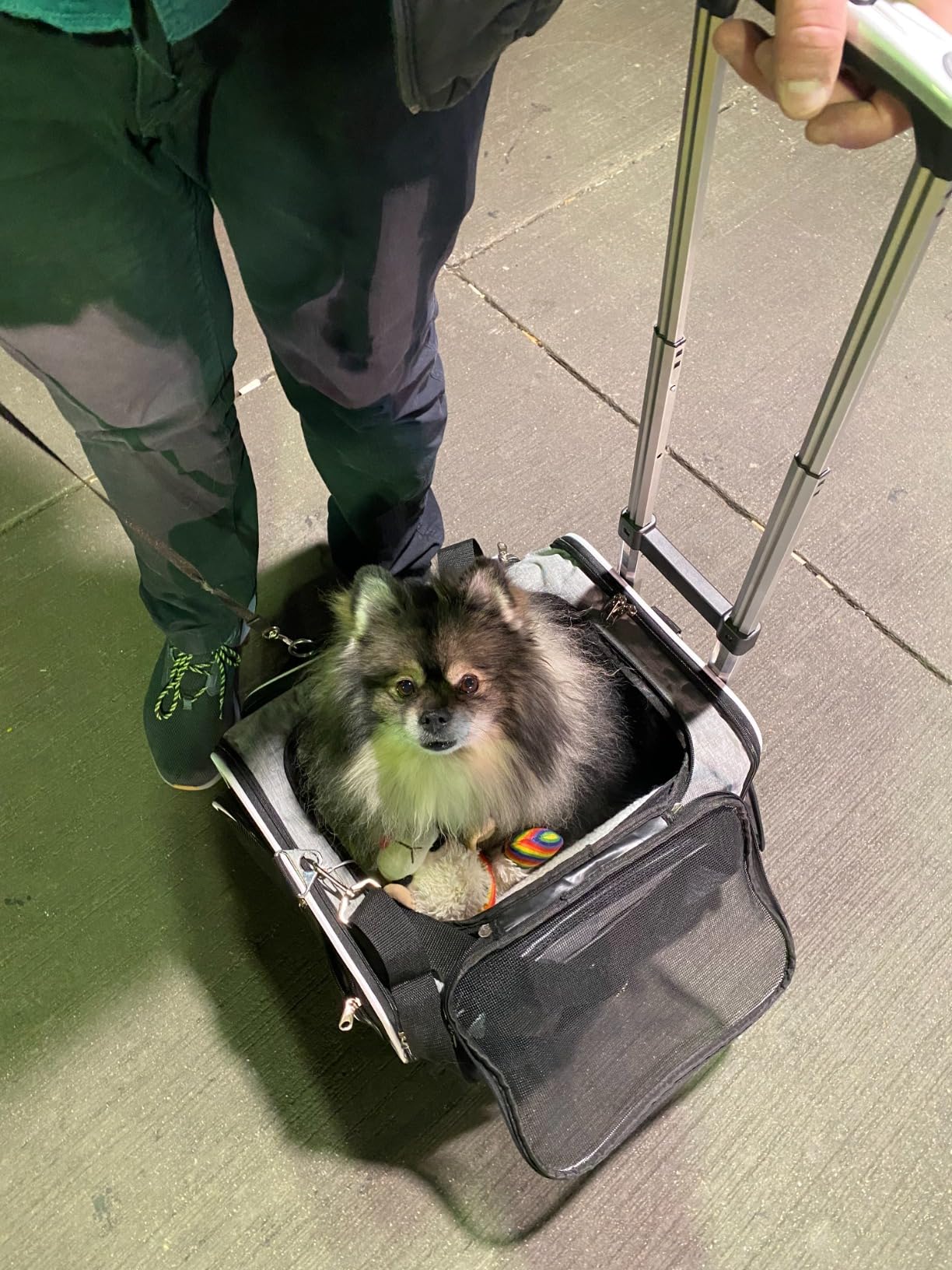 Ruff Life 101 Airline Approved Expandable Premium Pet Carrier on Wheels- Two Sided Expandable Rolling Carrier- Designed for Dogs & Cats- Extra Spacious Soft Lined Carrier! (Grey) customer photo 1