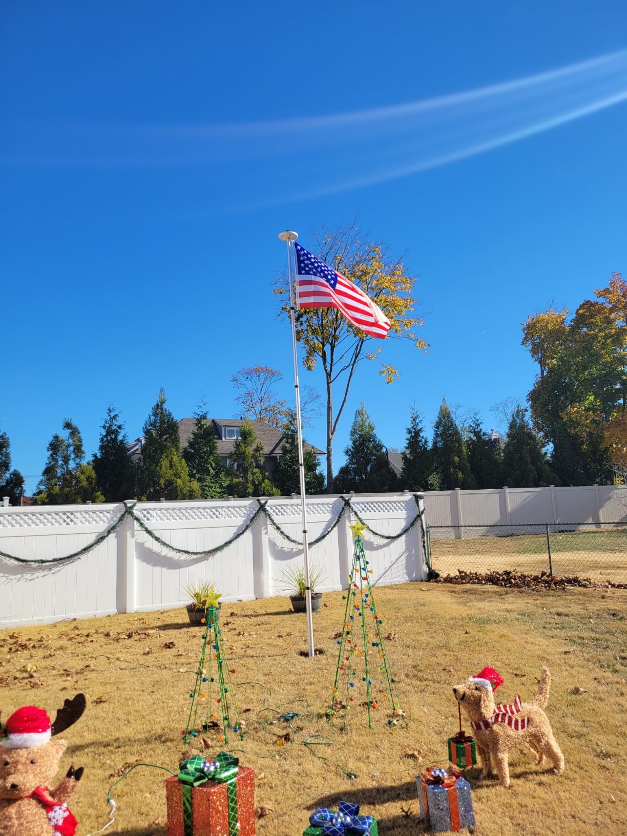 Yeshom 20Ft Black Telescopic Aluminum Flag Pole Fly 2 Flags 3'x5' US Flag & customer photo 2