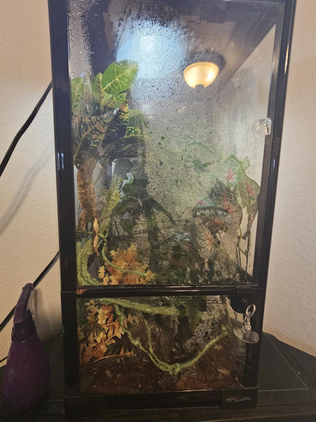 REPTIZOO 15 Gallon Full Glass Reptile Terrarium 12
