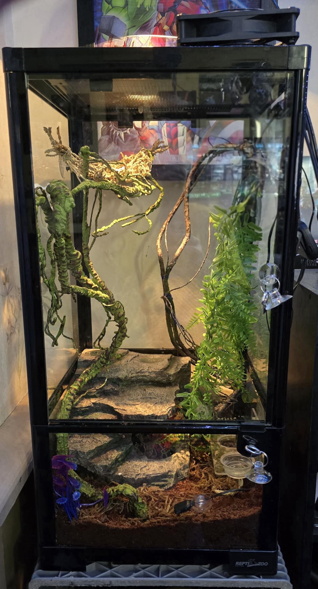 REPTIZOO 15 Gallon Full Glass Reptile Terrarium 12