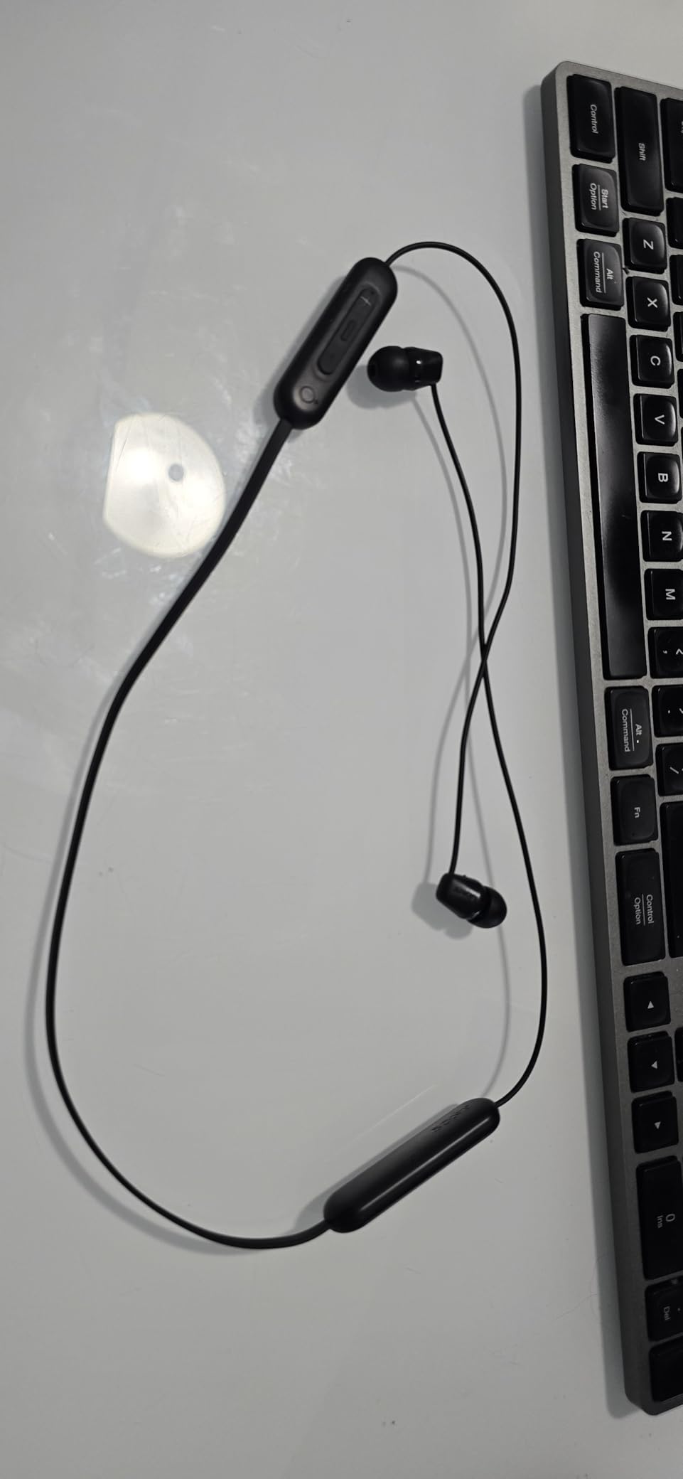 Sony WI-C100 Wireless in-Ear Bluetooth Headphones with Built-in Mic, Black customer photo 1