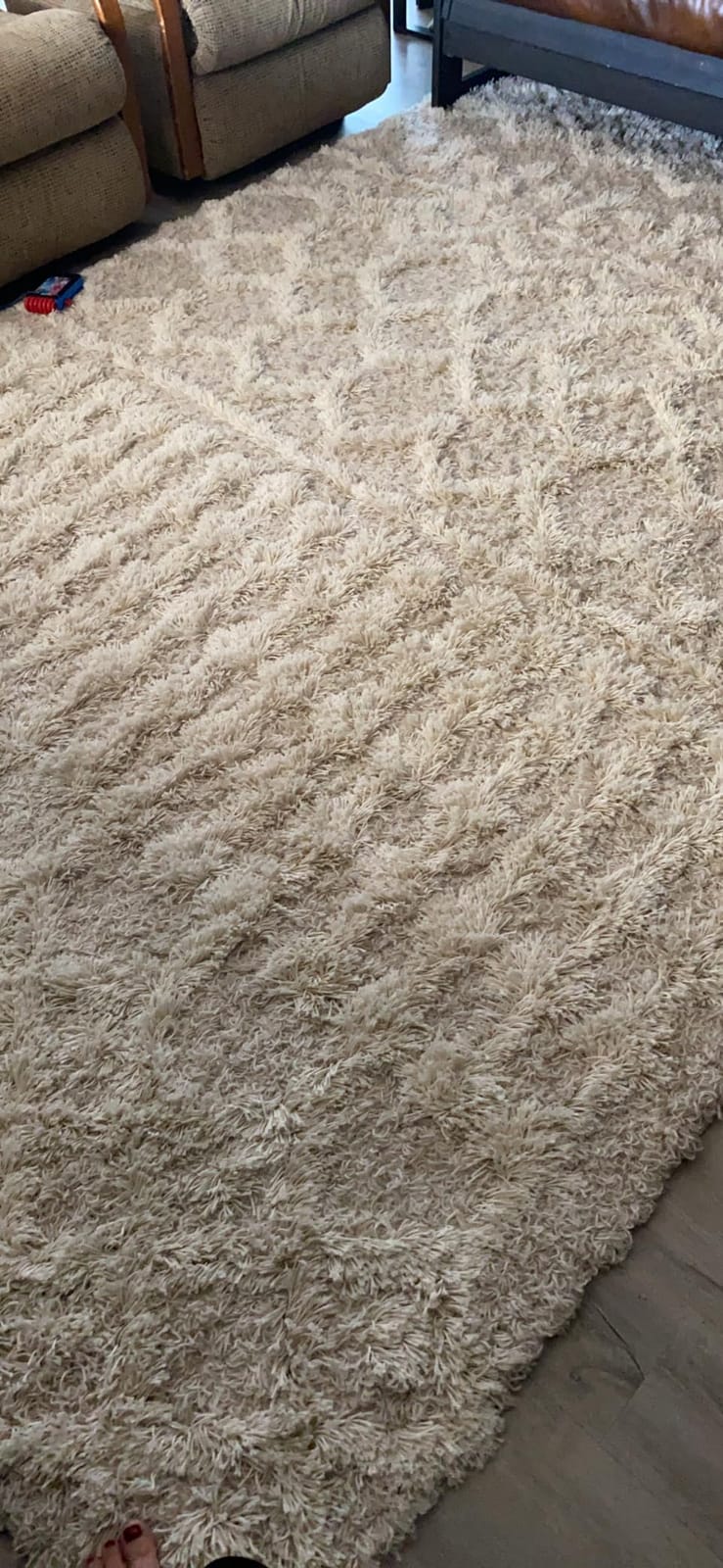 Livabliss Hapsburg Moroccan Shag Area Rug, 5'3