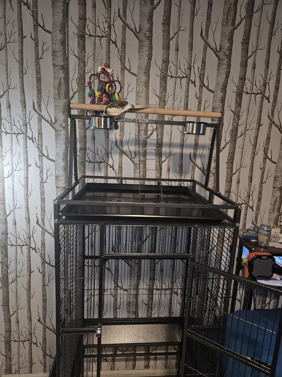 82 Inch Bird Cage, BOINN Bird Flight Cages with Rolling Stand & Bottom Tray, Wrought Iron Parrot Cage with PlayTop for Parakeet, Lovebirds, Ringneck, Cockatiels customer photo 2