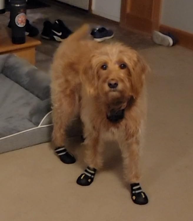 DcOaGt Dog Shoes for Large Dogs, 4PCS Anti-Slip Dog Boots & Paw Protectors for Hot Pavement Winter Snow Hiking Walking, Waterproof Breathable and Reflective Dog Booties for Large Size Dogs customer photo 2