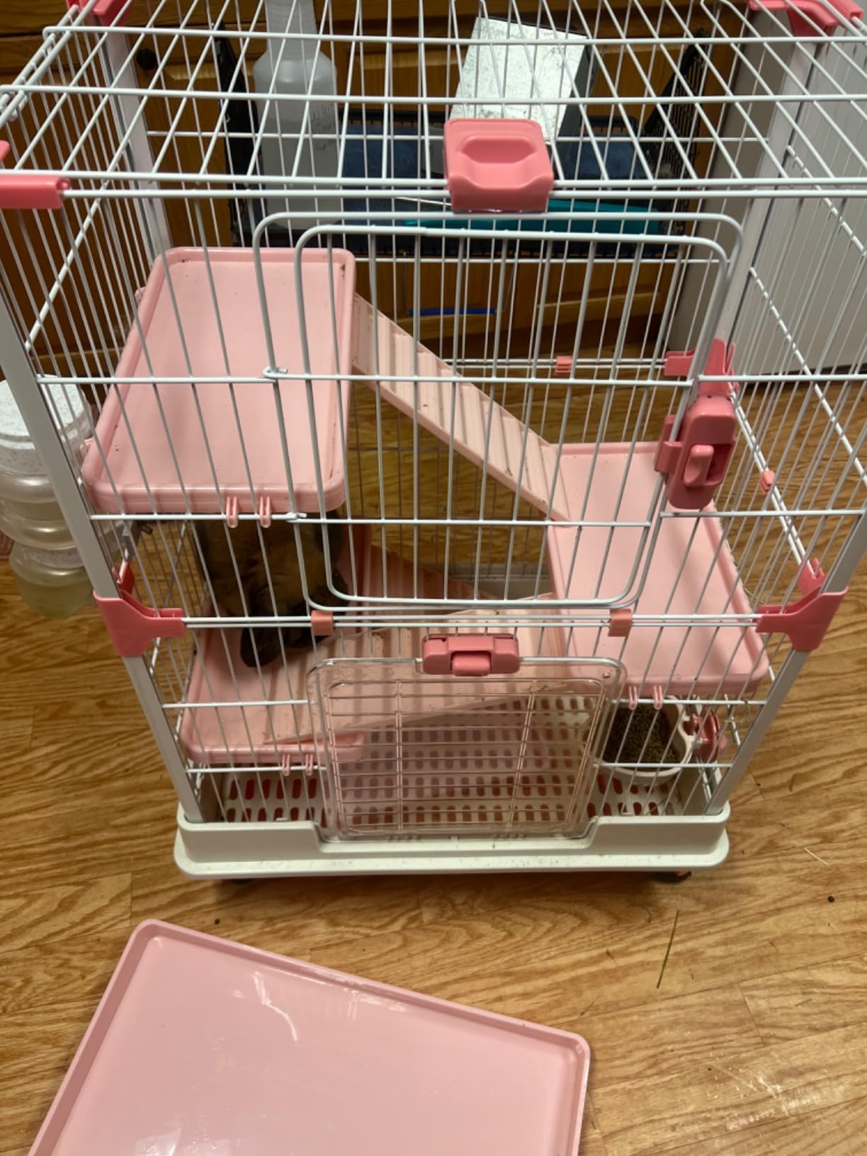 Large 5-Tiers Deluxe in/Outdoor Chinchilla Ferret Squirrel Hedgehog Kitten Rabbit Bunny Hutch House Critter Habitat Mesh Floor Easy Clean 2-Inch Deep Pull Out Tray with Rolling Casters customer photo 2