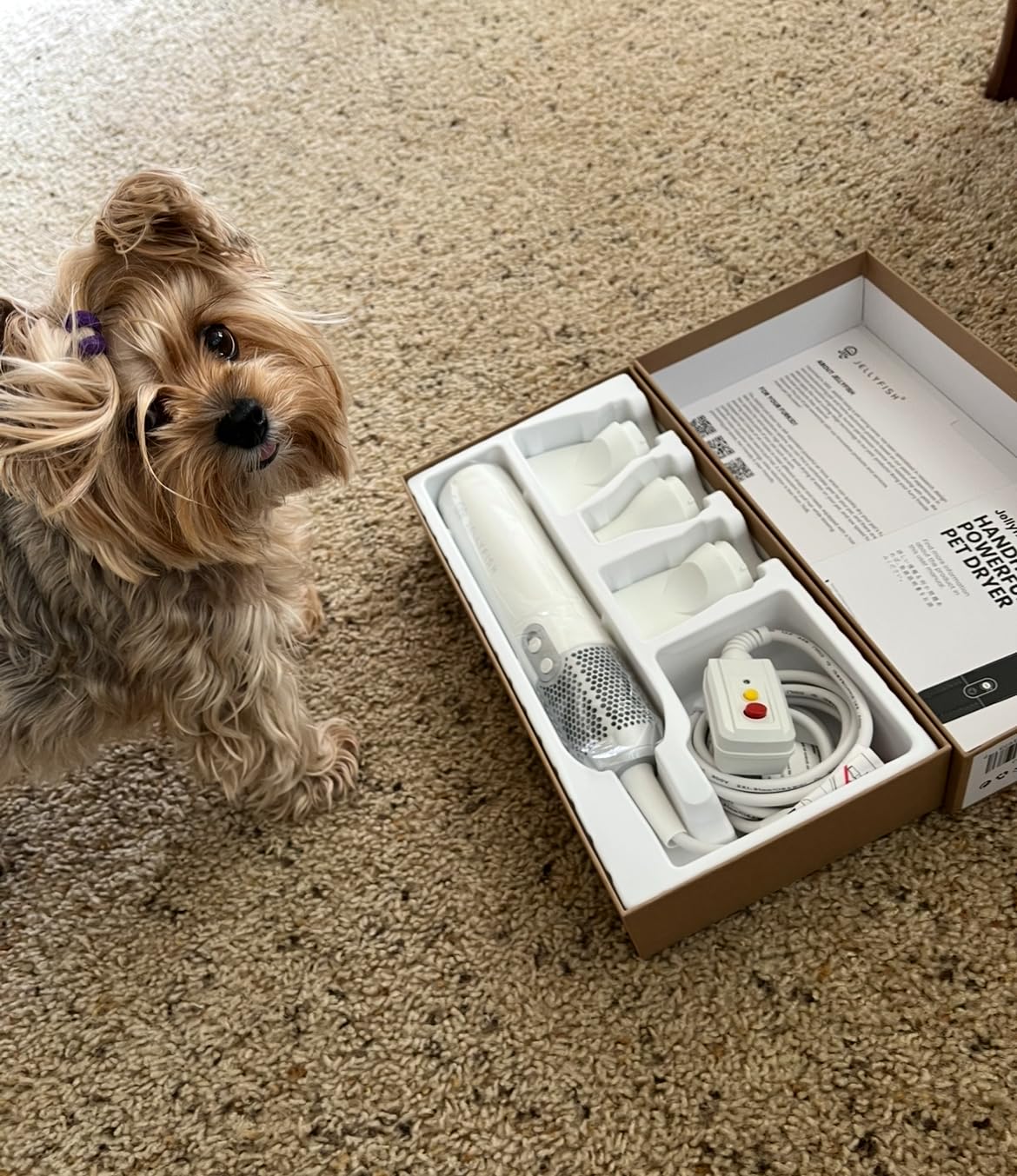 Jellyfish Handheld Dog Dryer - 1.21lb Lightweight, 2 Speeds, 4 Temp, Portable High Velocity Blow Dryer for Travel & Home customer photo 1
