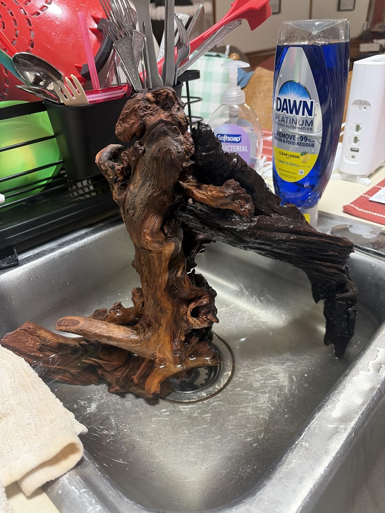 Jorewood Natural Large Aquarium Driftwood for Fish Tanks & Reptile Terrariums – 100% Safe Fish Tank Decorations, 2-Piece 10-14 Inch Unique Twisted Branches Low Tannin, Easy to Sink customer photo 1