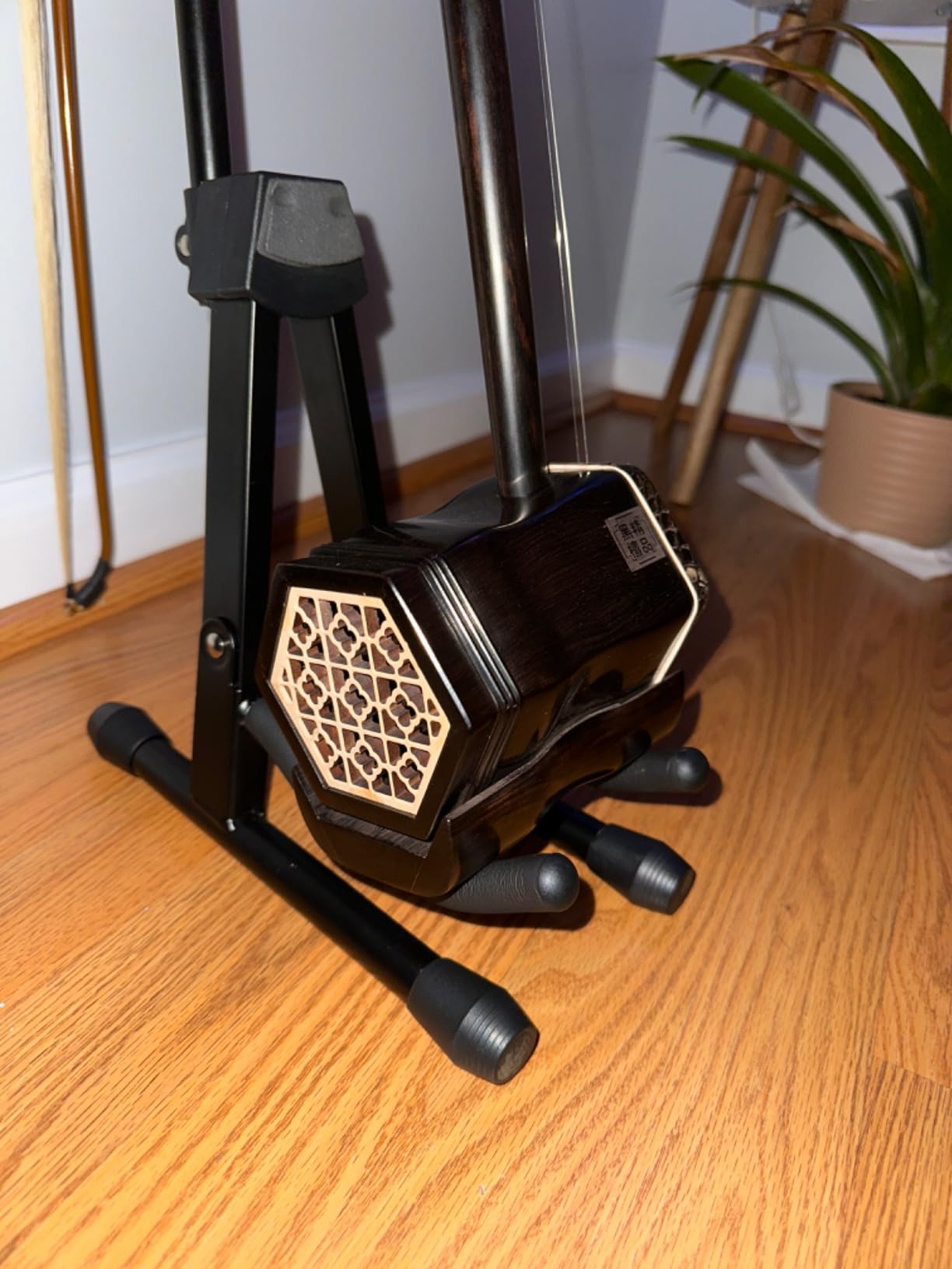 Professional Black Sandalwood Erhu,Two Stringed Chinese Violin Fiddle Instrument NICOSHINE Erhu with Engraved Dragon Head customer photo 1