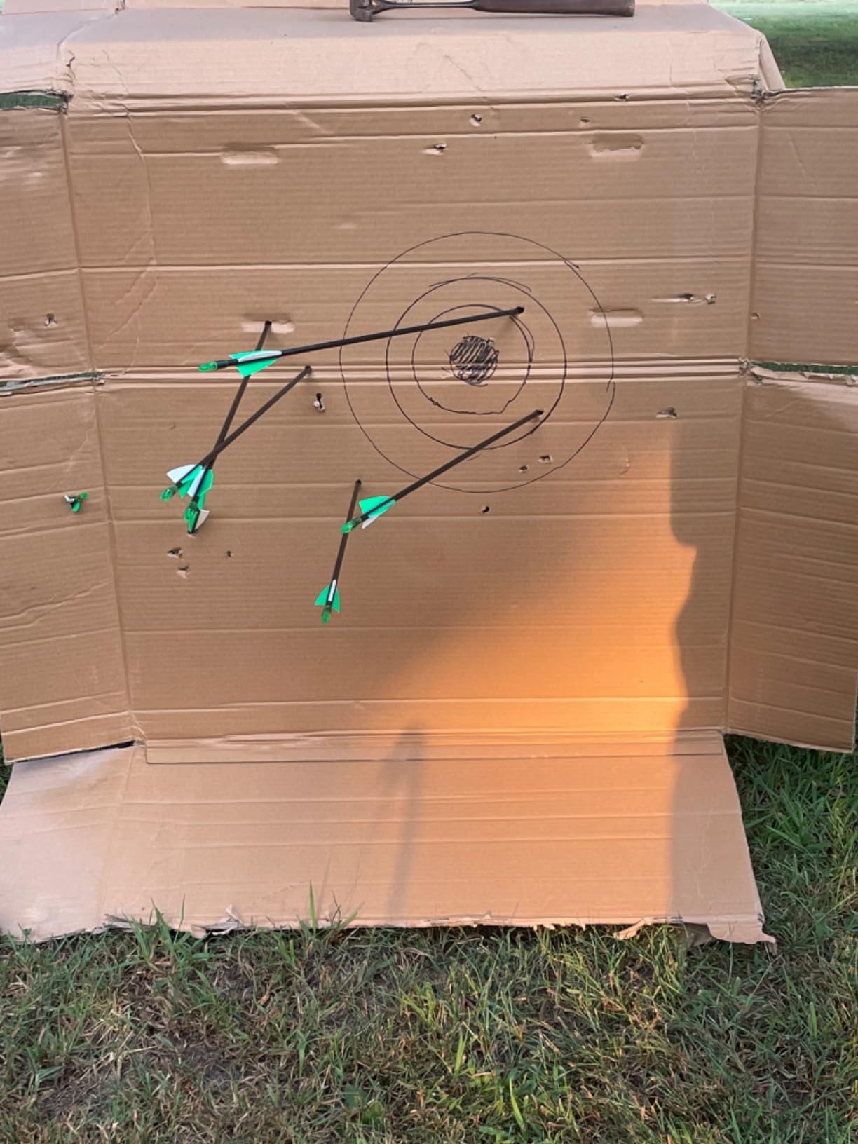 Compound Bow and Arrow Set for Youth & Teens, Beginner Archery Set with 15-18 LB Draw Weight, 8 Arrows, Target Paper & Arm Guard Outdoor Shooting Sports Equipment for Beginners customer photo 2