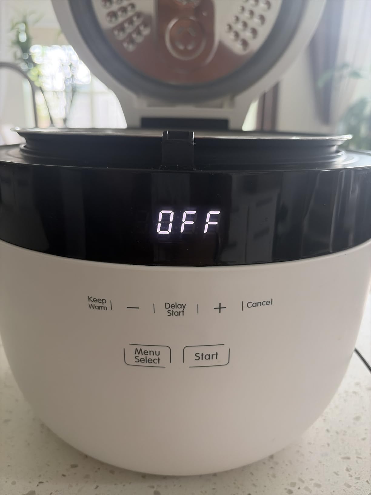 Instant Pot 20-Cup Rice Cooker, Rice and Grain Multi-Cooker with Carb Reducing Technology without Compromising Taste or Texture, From the Makers of Instant Pot, Includes 8 Cooking Presets customer photo 1