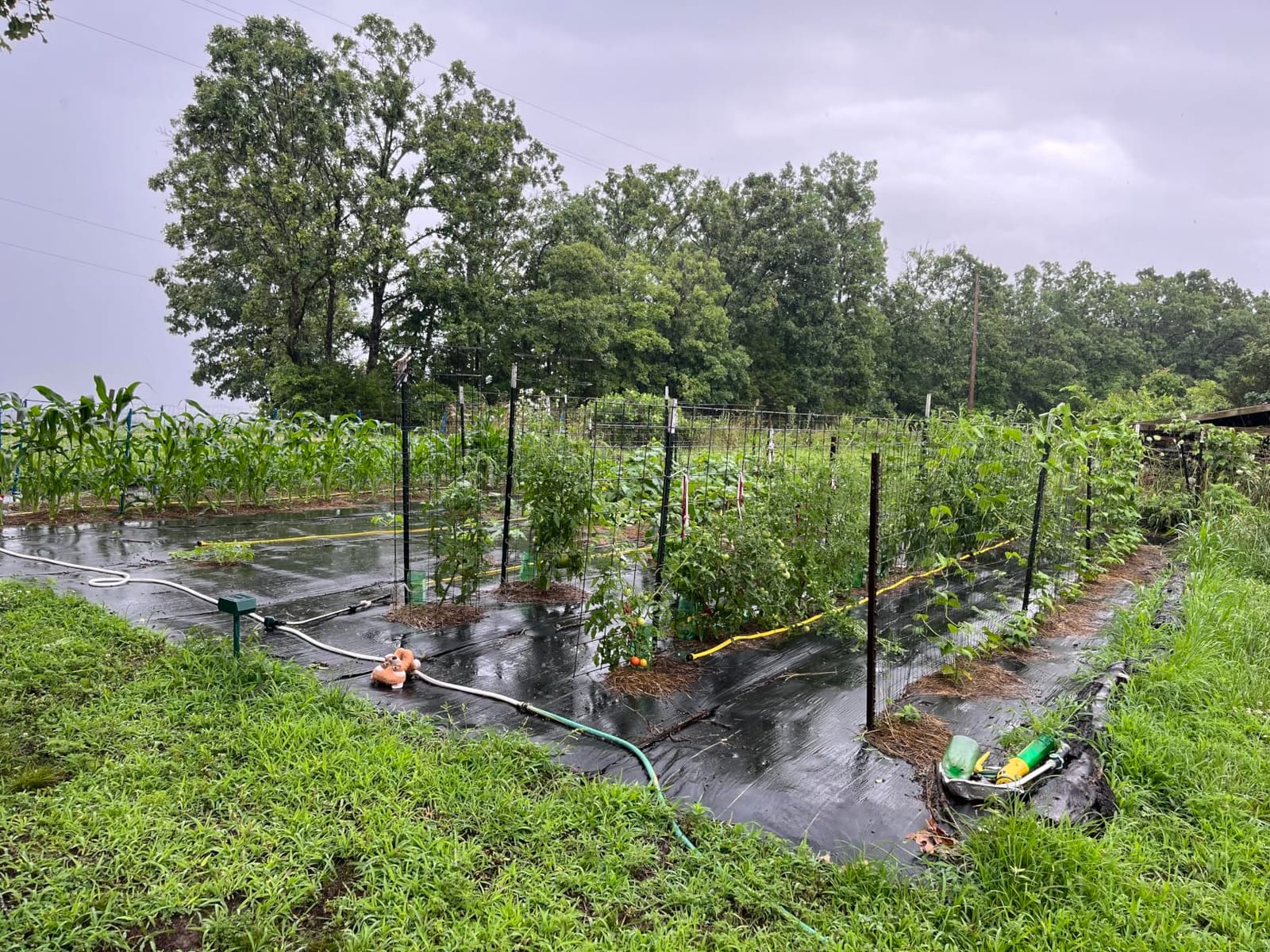 4ft x300ft Black Weed Barrier 3.5oz Landscape Premium Fabric-Heavy Duty Woven Ground Cloth with Superior Permeability Weed Control Convenient Design customer photo 1