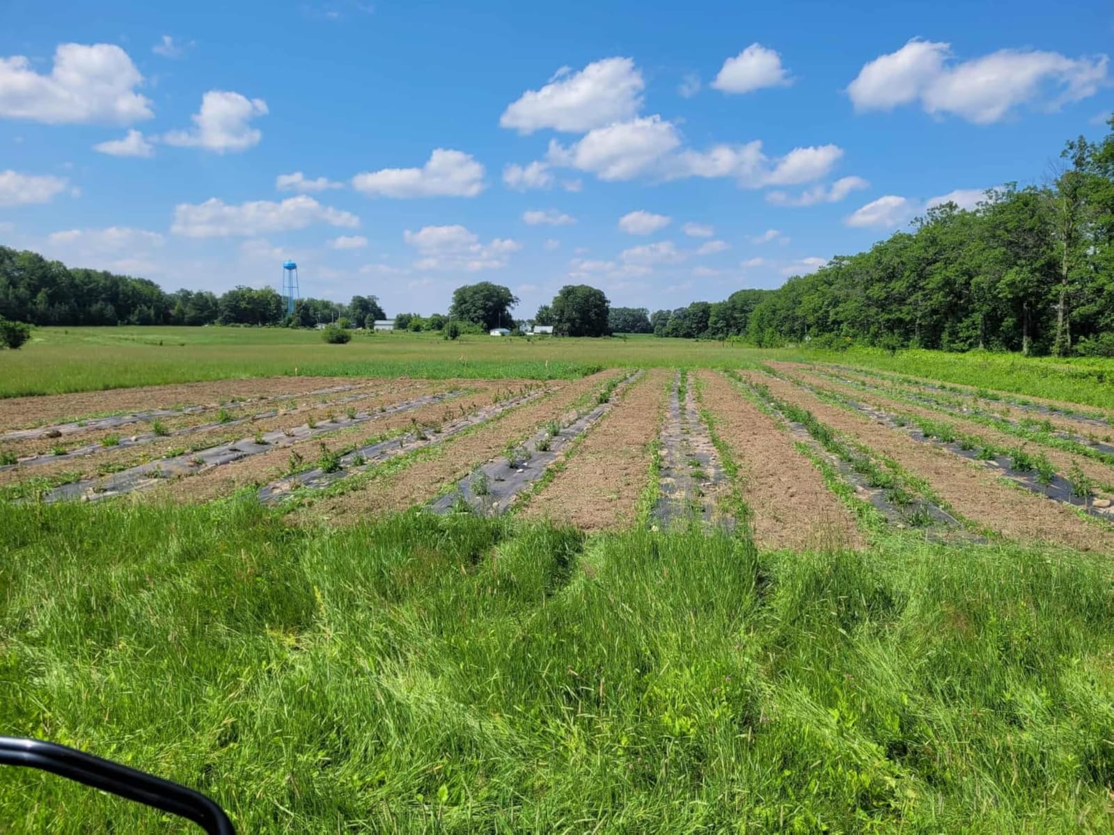 4ft x300ft Black Weed Barrier 3.5oz Landscape Premium Fabric-Heavy Duty Woven Ground Cloth with Superior Permeability Weed Control Convenient Design customer photo 2
