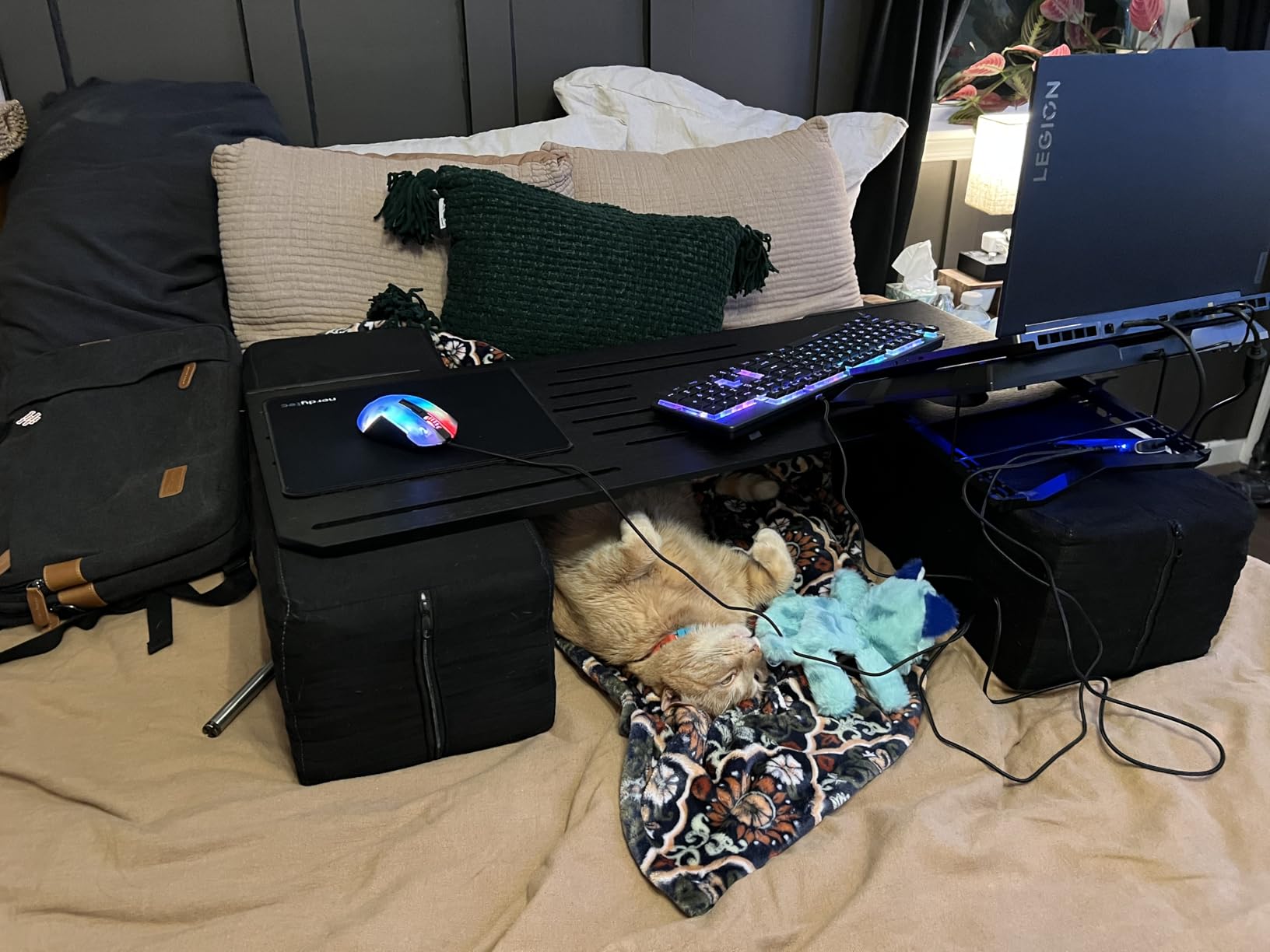 Couchmaster CYBOSS, Extra Wide Laptop Stand for Couch and Bed, Ergonomic Design with Cushions, Lap Desk for Notebooks up to 18 Inches, You are The Big Boss! The CYBOSS! customer photo 2