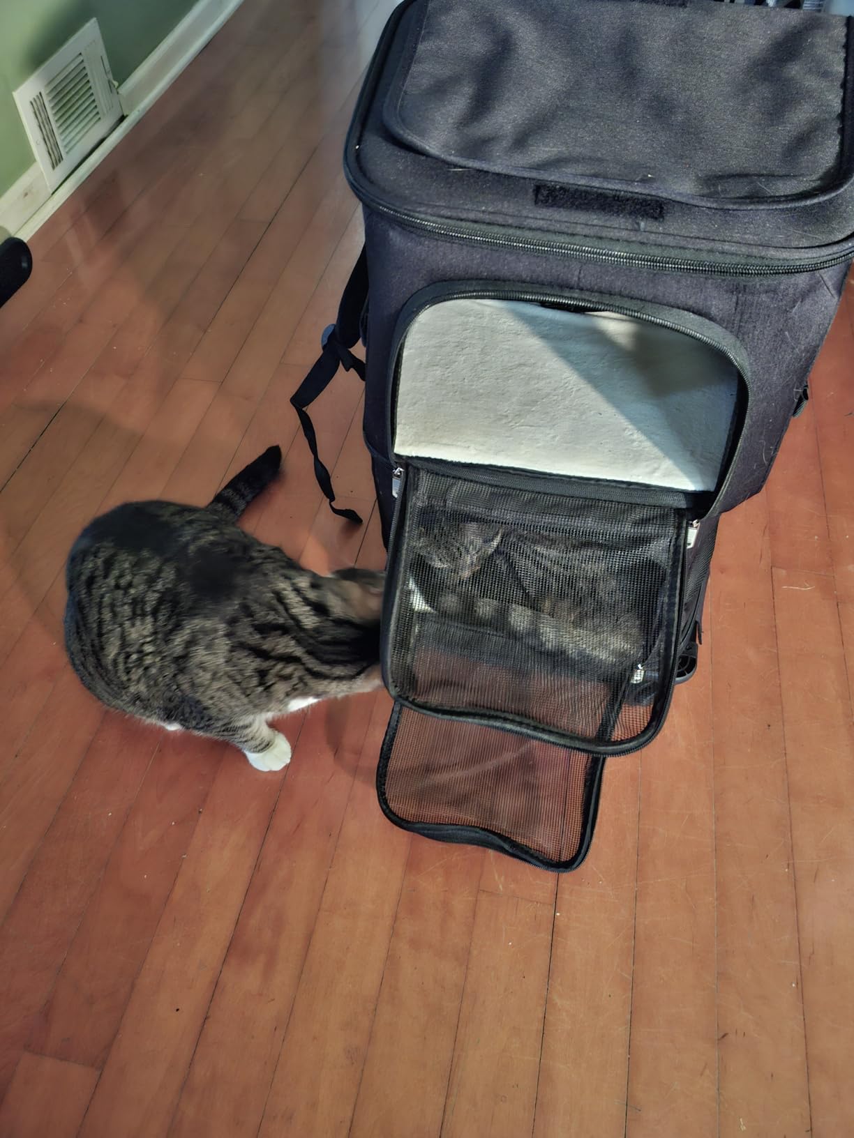 Double Pet Carrier Backpack with Wheels for Cats & Small Dogs, Grey customer photo 2