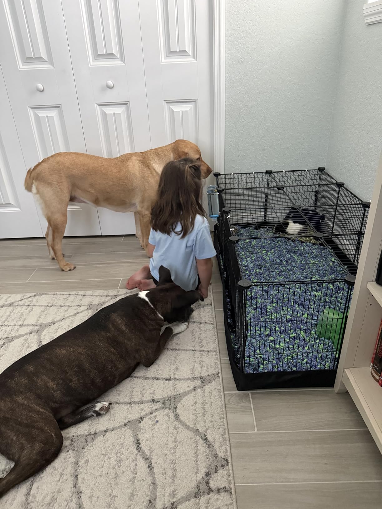 SONGMICS Pet Playpen with Floor, Small Animal Playpen customer photo 1