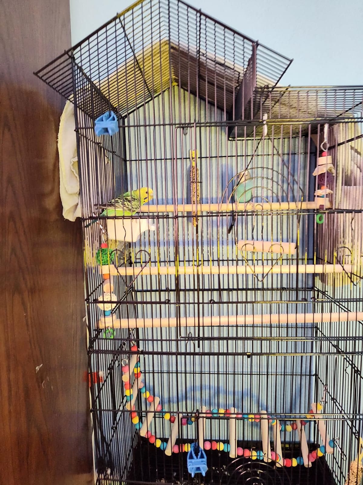 YITAHOME 62 inch Metal Bird Cage, Large Parakeet Cages customer photo 1