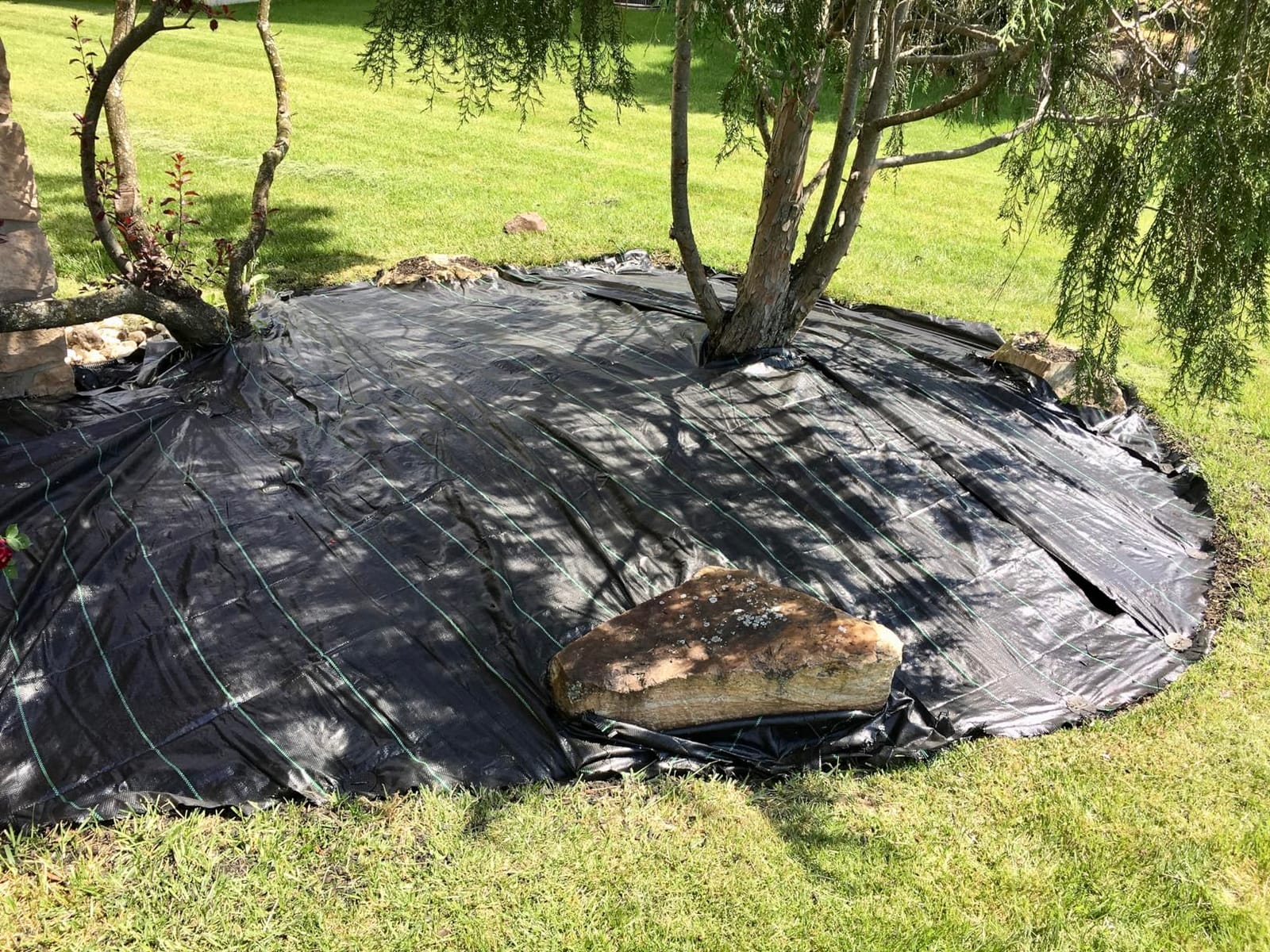 Winisok 4FT x 100FT Weed Barrier Landscape Fabric, 3.2oz Weed Control Geotextile Garden Cloth, Heavy Duty Breathable Mulch Ground Cover Black Mat for Backyard Landscaping Farming (2 Pack 4FT x 50FT) customer photo 1