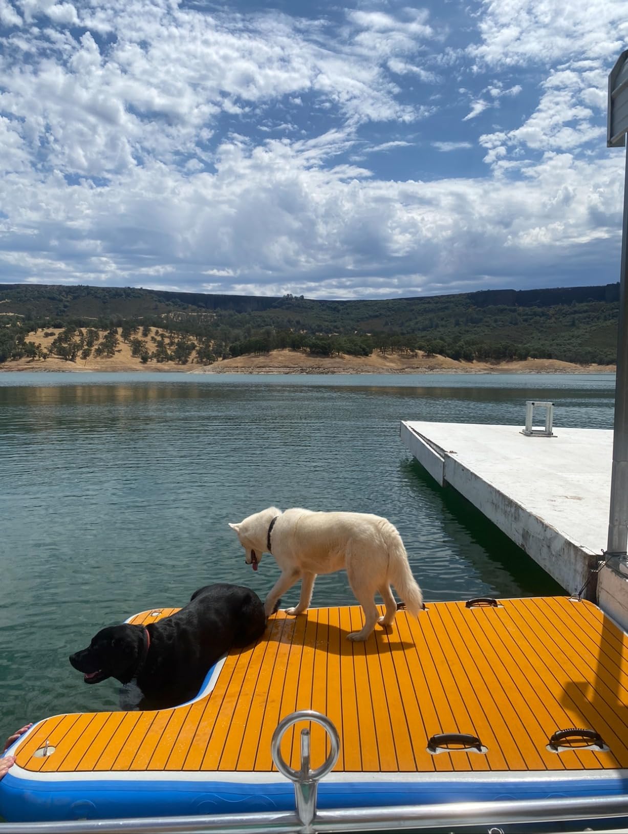 Inflatable Water Ramp for Dogs 60 inch L x 40 inch W, Holds Up to 230 LBS | Durable, Puncture-Resistant Surface Allows Dogs Safe & Easy Access In and Out of Water, Ideal for Pools, Lakes and Beaches customer photo 2