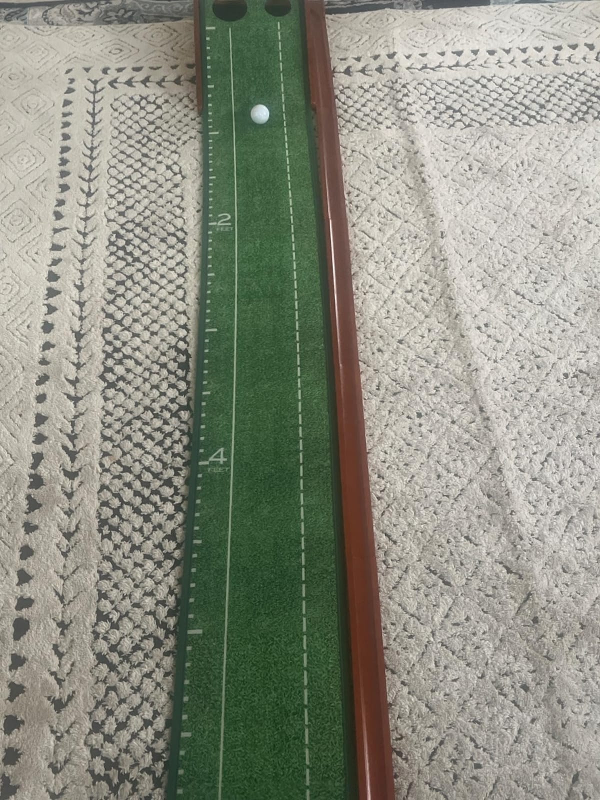 Golf Putting Mat, Putting Green Indoor with Ball Return - Golf Gifts for Men Christmas, Golf Training Aid for Home Office, Portable Putting Training Mat for Men customer photo 1