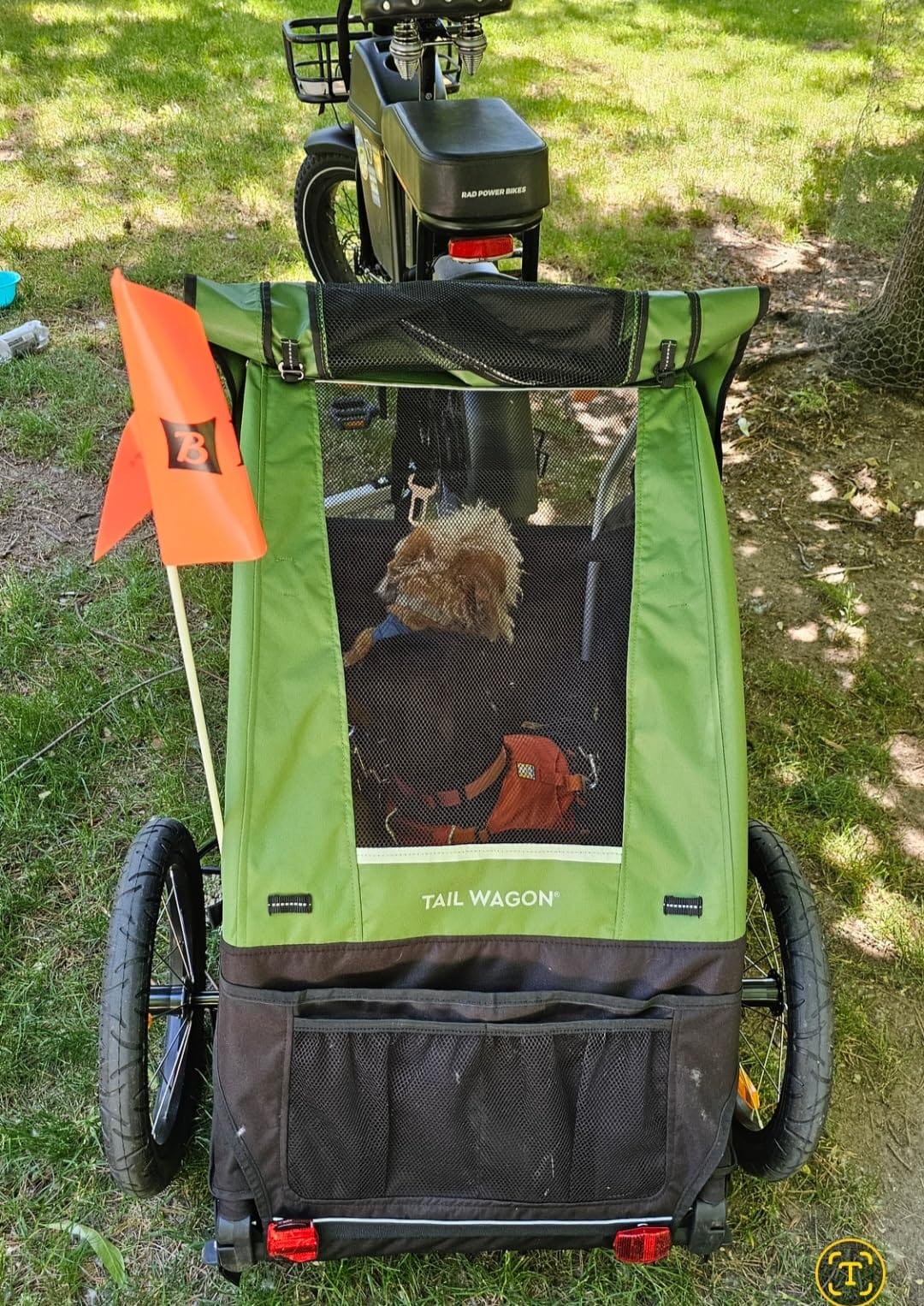 Burley Tail Wagon | Lightweight Dog Bike Trailer with Mesh Windows, Removable Floor & Low-Clearance Entry customer photo 1