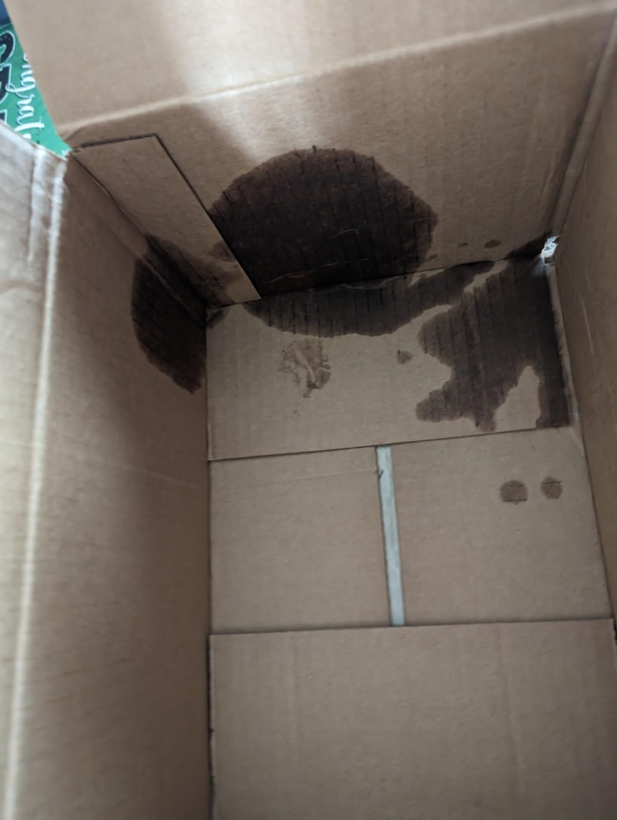 Hot Shot's Secret Gasoline Extreme Fuel Additive, 12 oz | Treats 20 gallons. Cleans fuel systems and injectors while restoring gasoline engine performance. customer photo 1