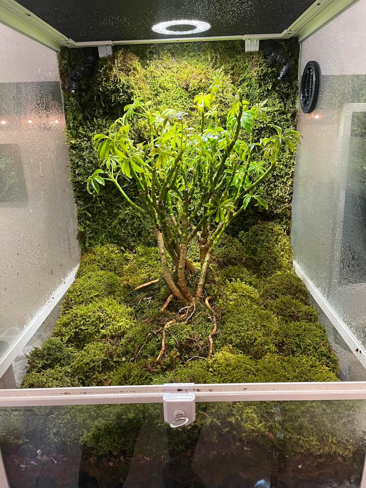 180 Gallon Large Reptile Terrarium, 48