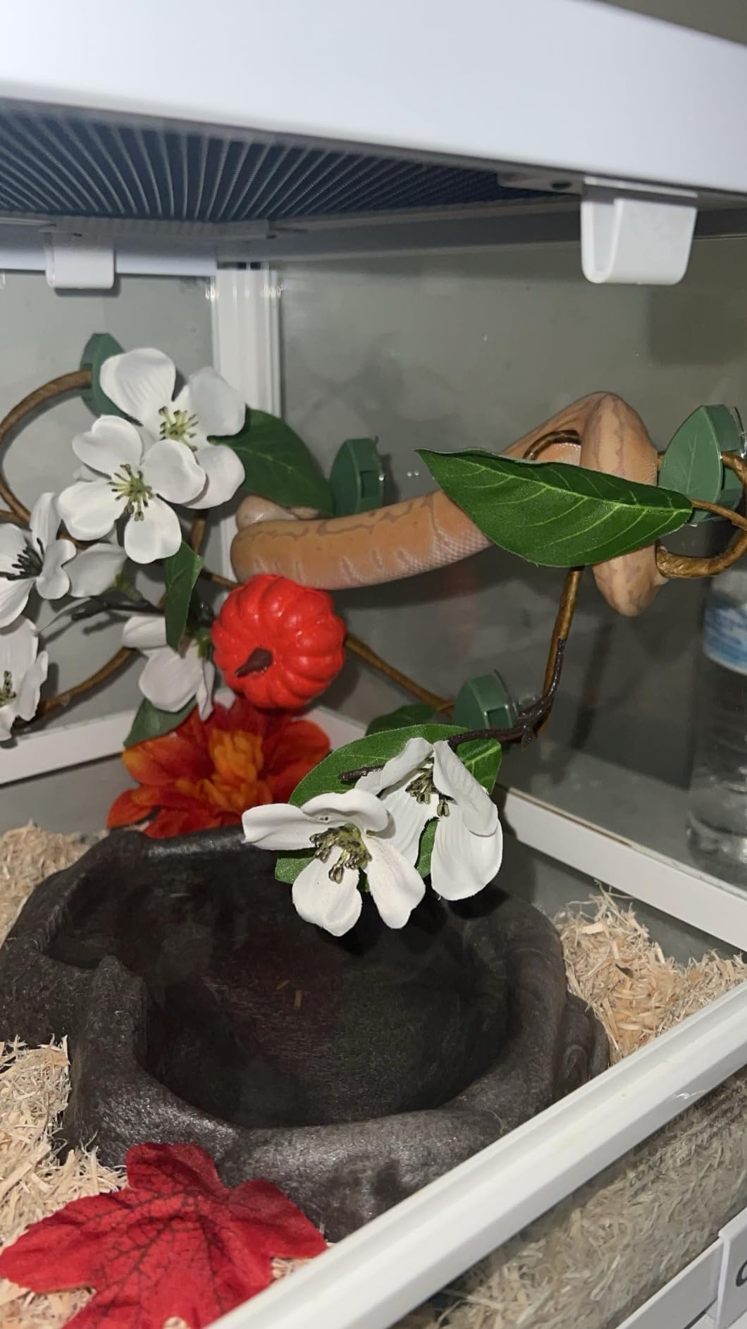 180 Gallon Large Reptile Terrarium, 48
