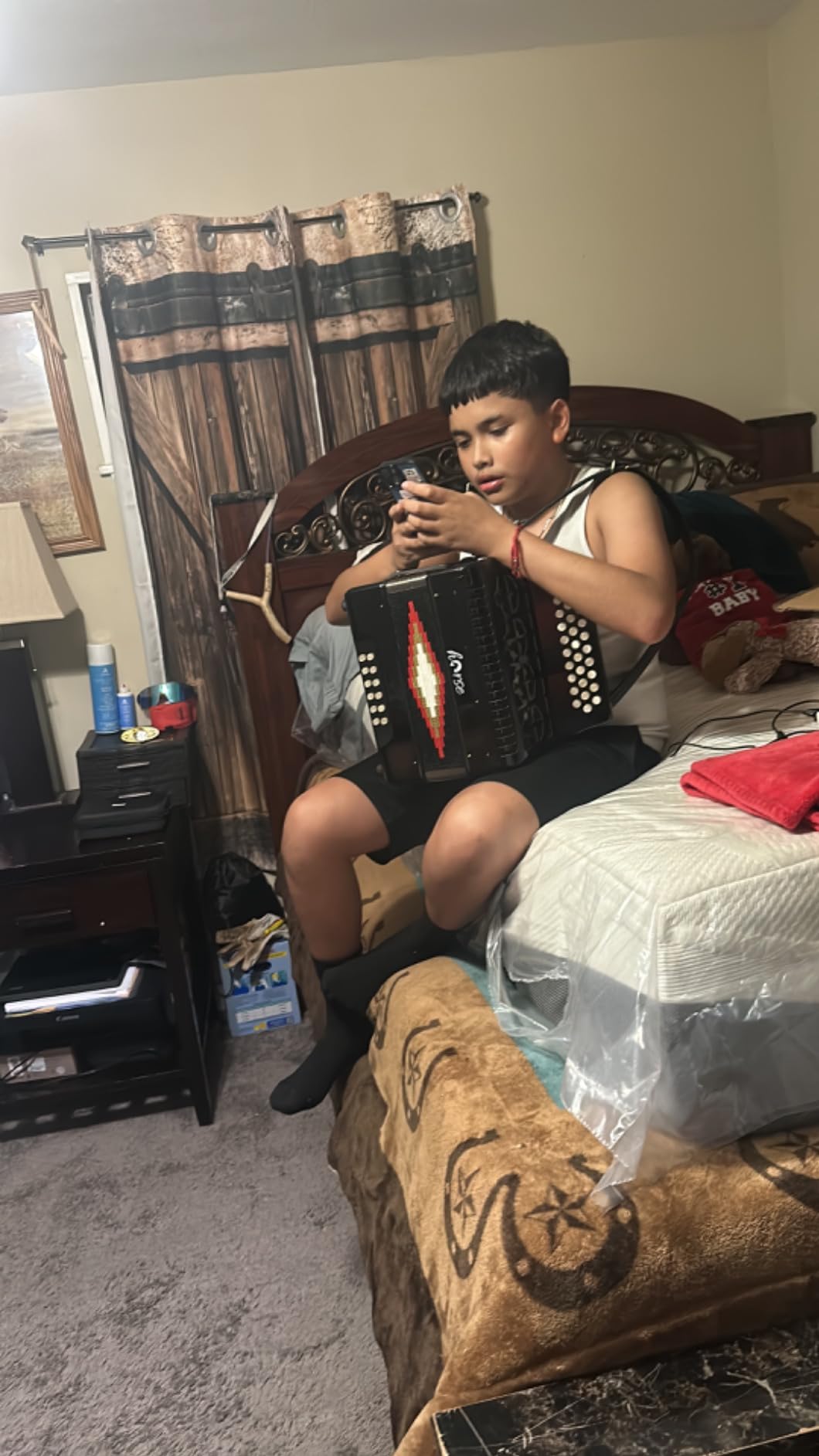 Horse 31 Key Accordion,12 Bass 3-Row F/B/E Diatonic Accordions Instruments for Adults with Case, Gloves, Cleaning Cloth, Oversleeves, and Straps, Acordeón Acordeones Para Beginners to Professionals customer photo 1