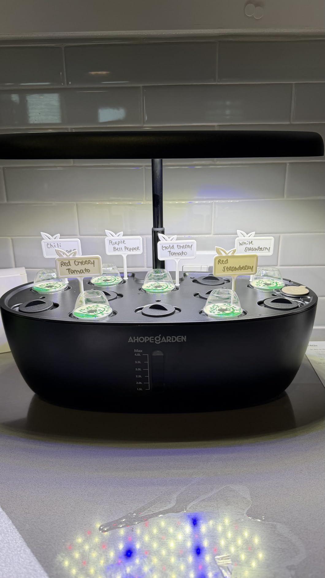 Ahopegarden Hydroponics Growing System: 12 Pods Indoor Herb Garden with LED customer photo 2