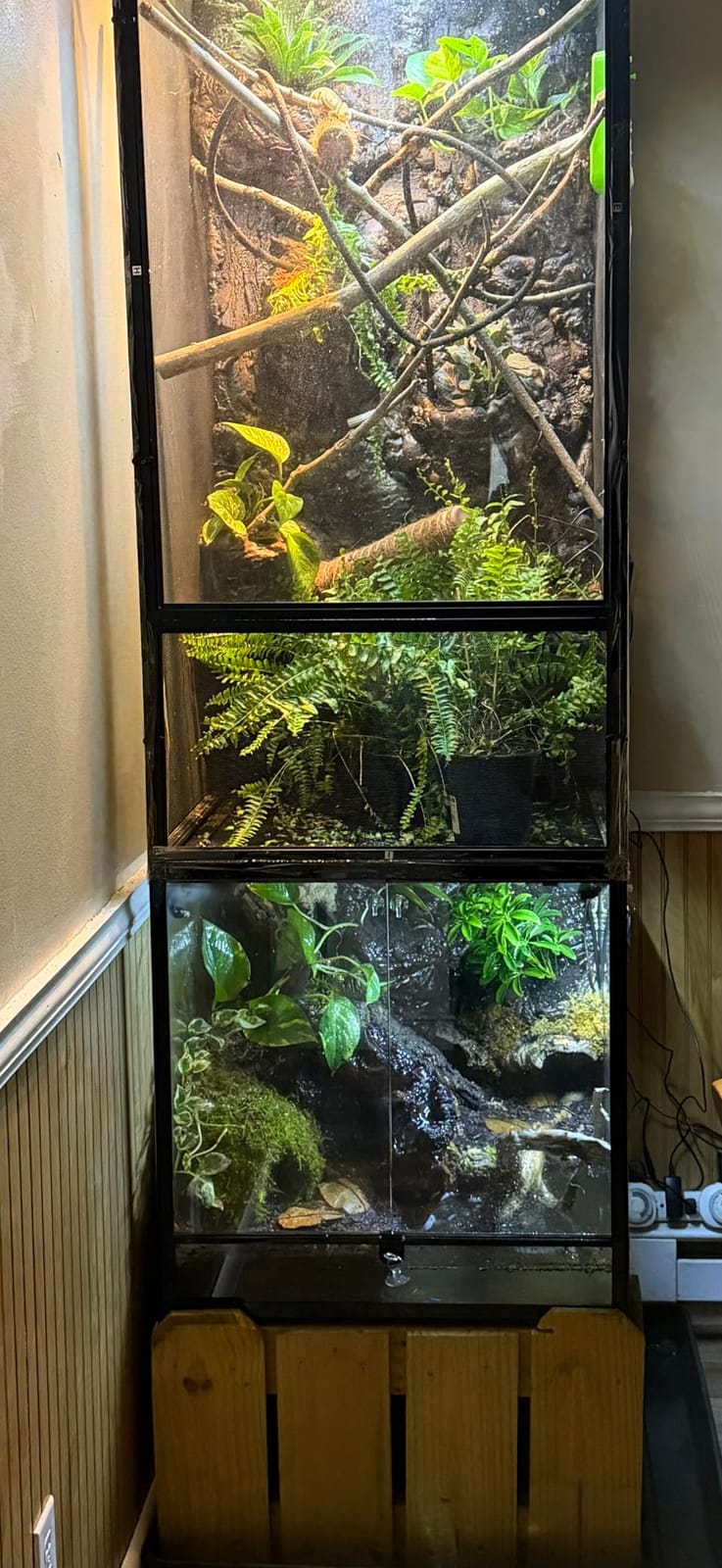 REPTIZOO 60 Gallon Glass Reptile Tank, 24