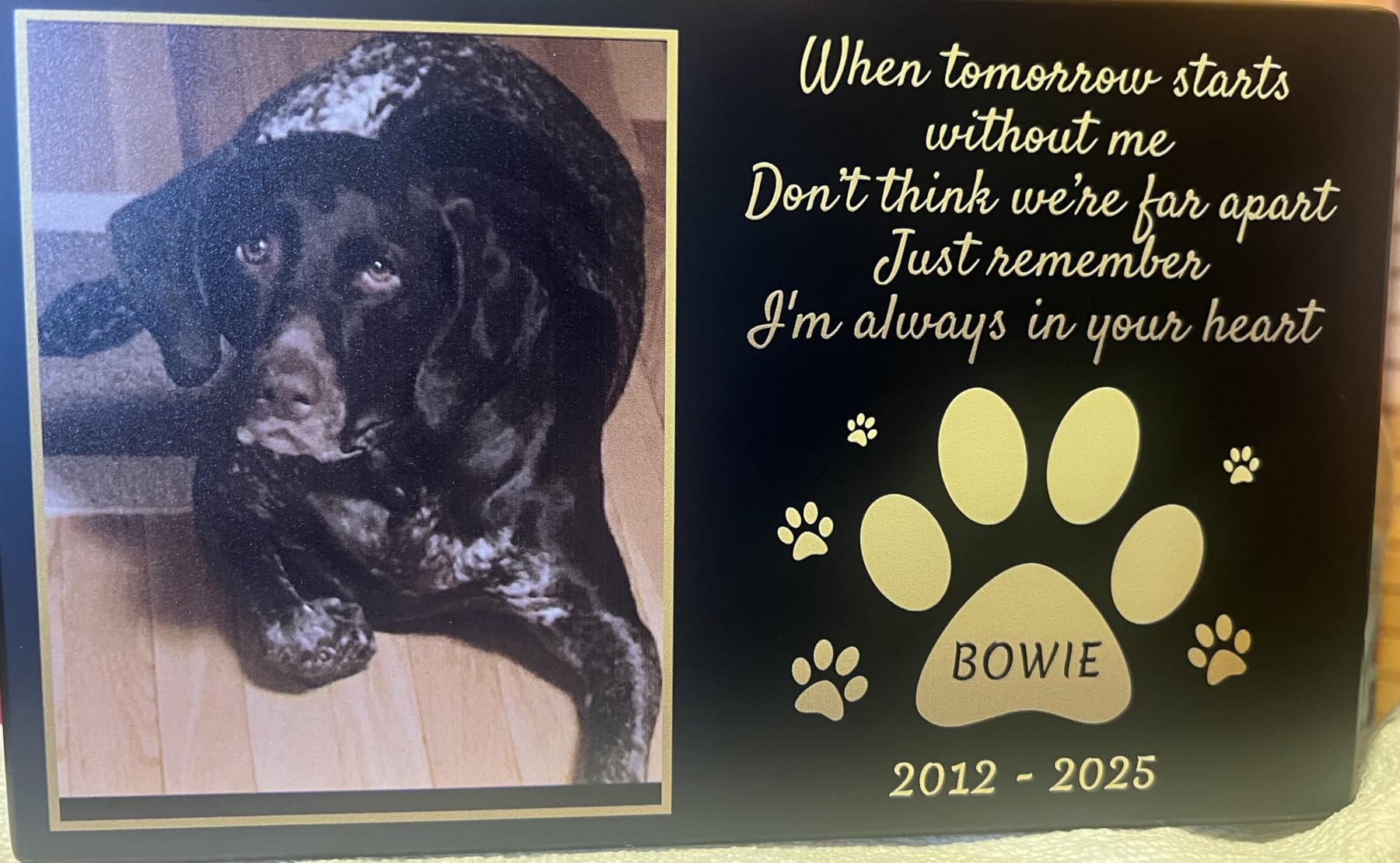 Bemaystar Personalized Pet Urns for Dogs Ashes - Custom Wooden Keepsake Urn Box with Photo for Pet Memorial Keepsake, Box Pet Cremation Urn, Sympathy Gift for a Pet Weight of Up to 10 lbs customer photo 1