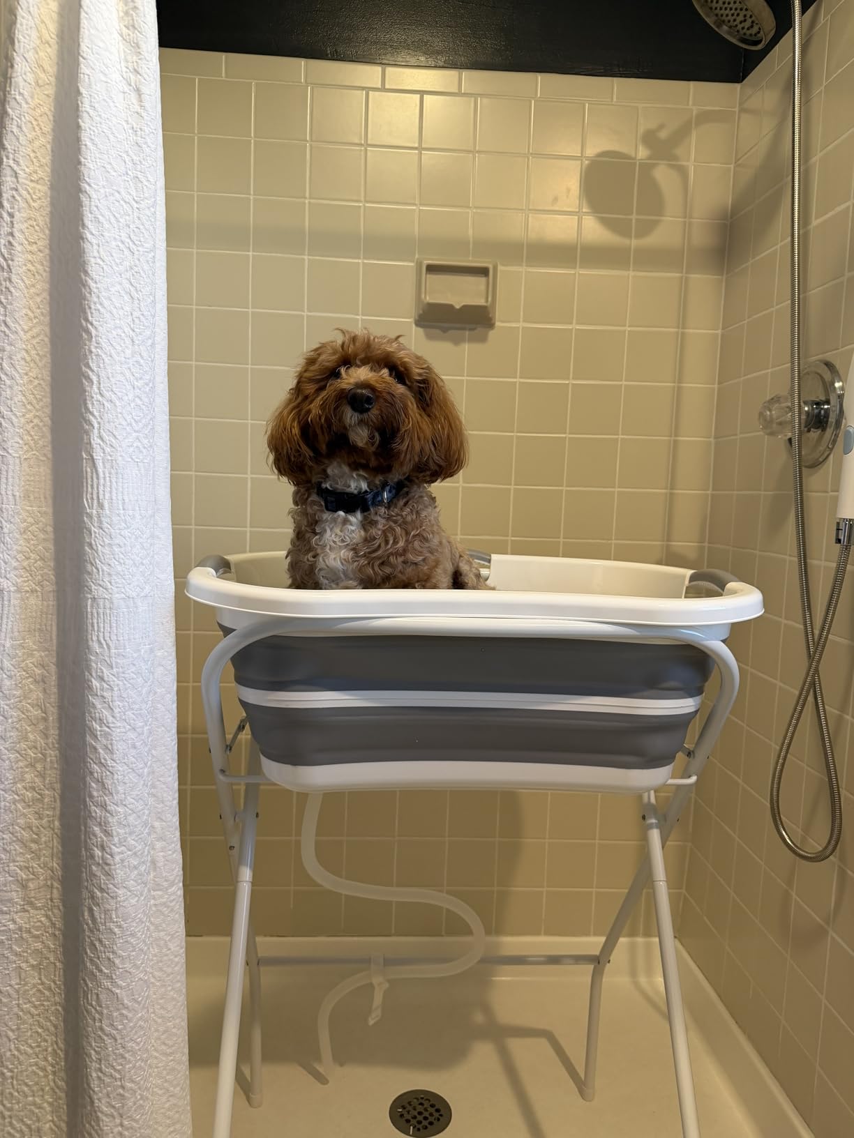 Beberoad 2 in 1 Dog Bath Tub Dog Washing Station for Bathing and Grooming, Elevated Collapsible Foldable Portable Shower Bathtub for Small Dogs Cats Pet, Indoor and Outdoor customer photo 2