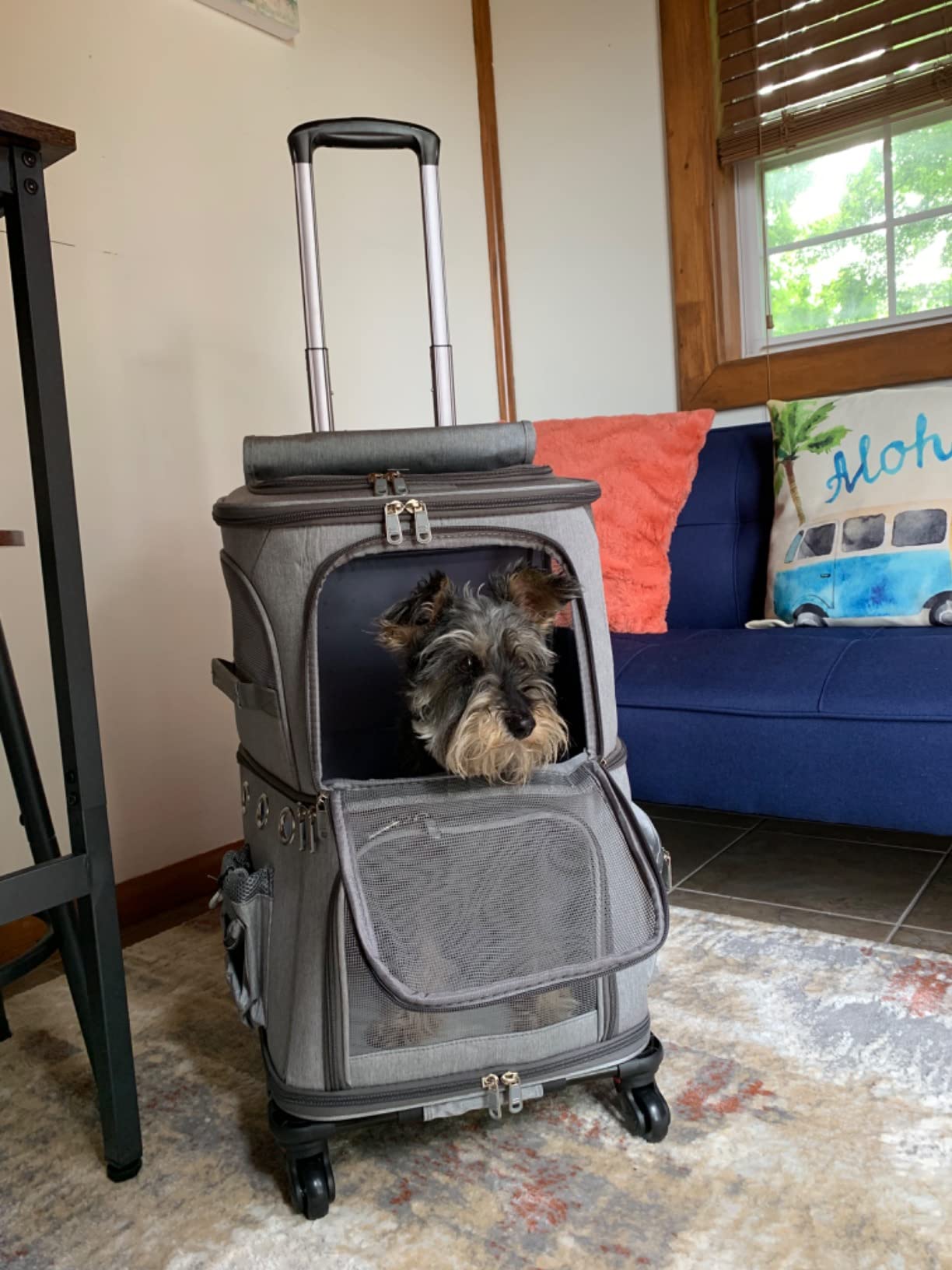 HOVONO Double-Compartment Cat Carrier Backpack with Wheels for 2 Pets, XL customer photo 1
