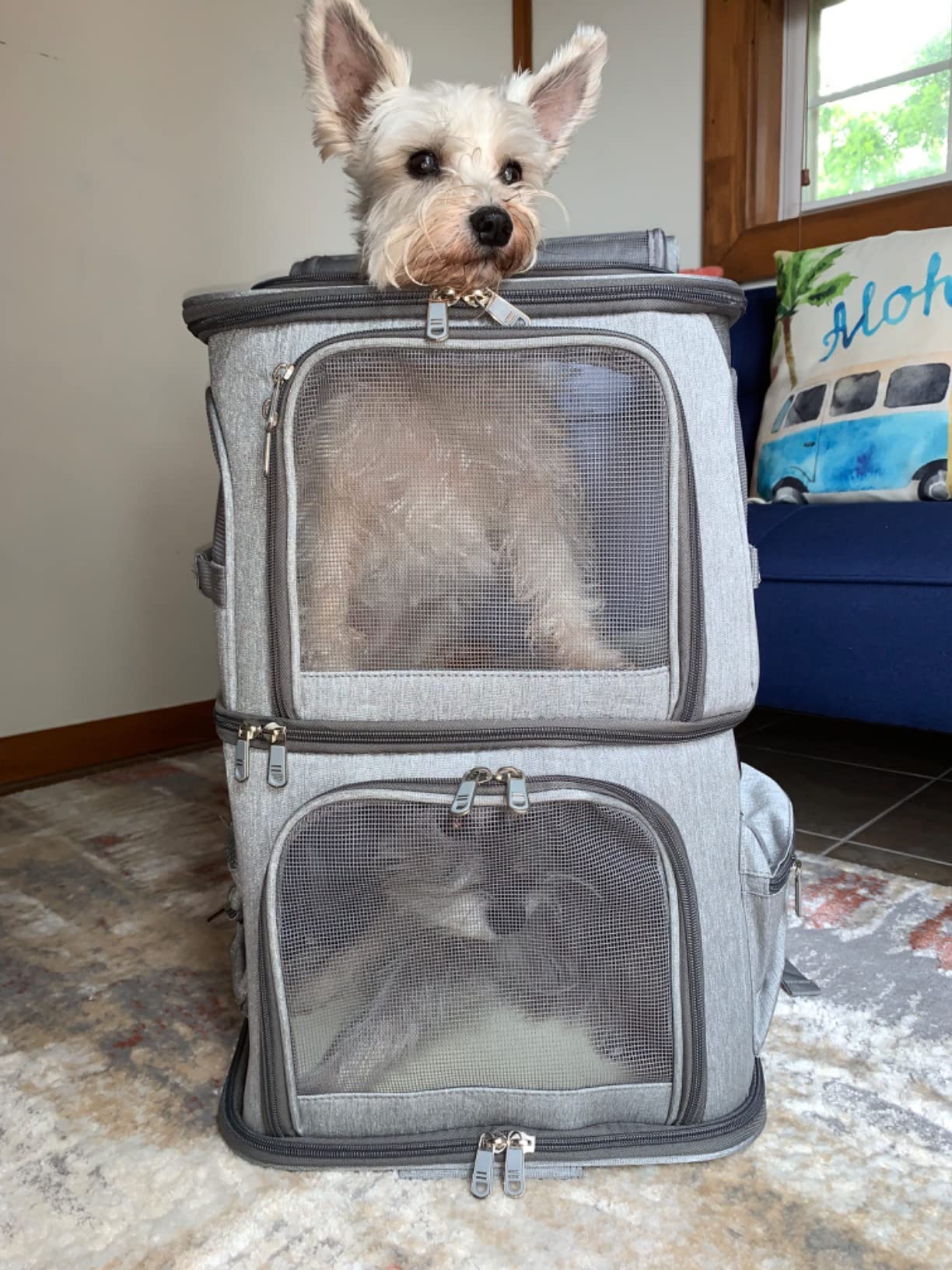 HOVONO Double-Compartment Cat Carrier Backpack with Wheels for 2 Pets, XL customer photo 2