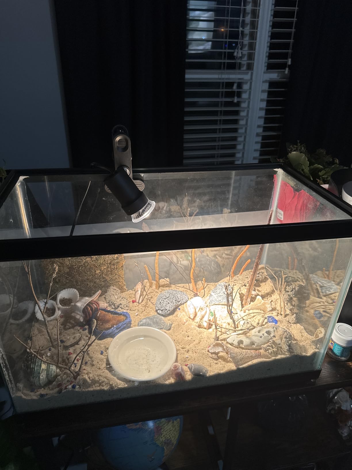 DOMICA Reptile Heat Lamp with 50W UVA UVB Light Bulb, Basking Spot Light Simulated Sunlight, Heating Lamp for Turtle, Lizard, Snake, Beared Dragon, Amphibians customer photo 1