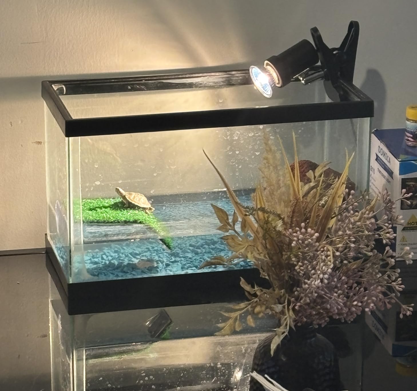 DOMICA Reptile Heat Lamp with 50W UVA UVB Light Bulb, Basking Spot Light Simulated Sunlight, Heating Lamp for Turtle, Lizard, Snake, Beared Dragon, Amphibians customer photo 2