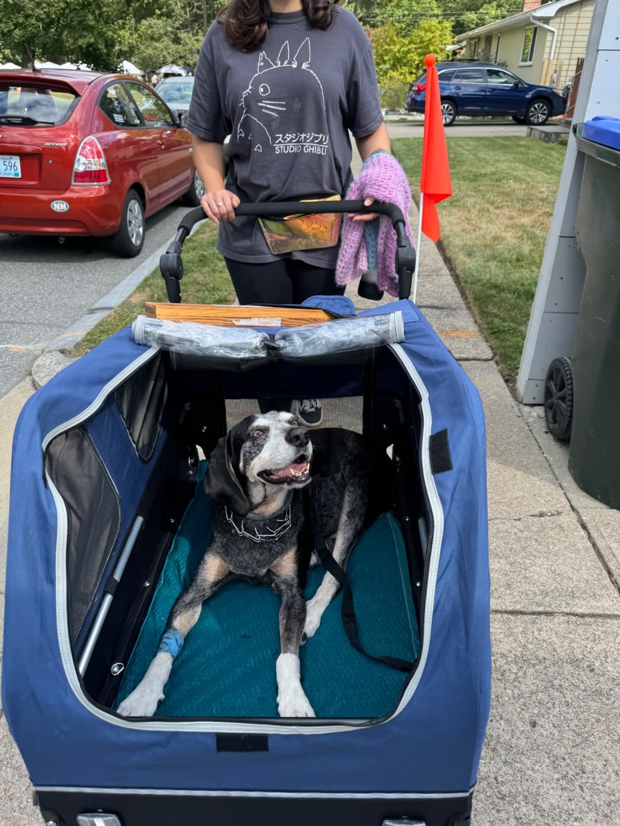 DOGGYHUT S-Line XL Pet Bike Trailer & Stroller for Large Dogs Up to 100 lbs with Shock-Absorbing Suspension customer photo 2