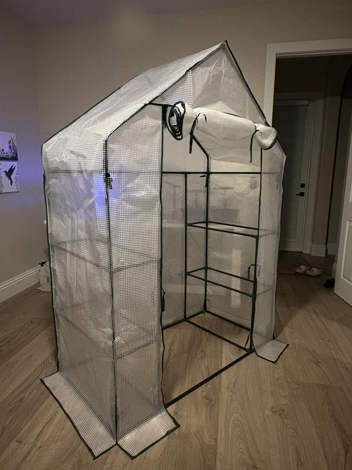 56x30x76 Walk-in Greenhouse for Outdoors, Portable Plant House with Shelves | White PE Cover, Three Shelf Levels on Each Side, Roll-Up Zipper Door, Steel Frame, Anchors and Ropes for Seedlings and Herbs customer photo 1
