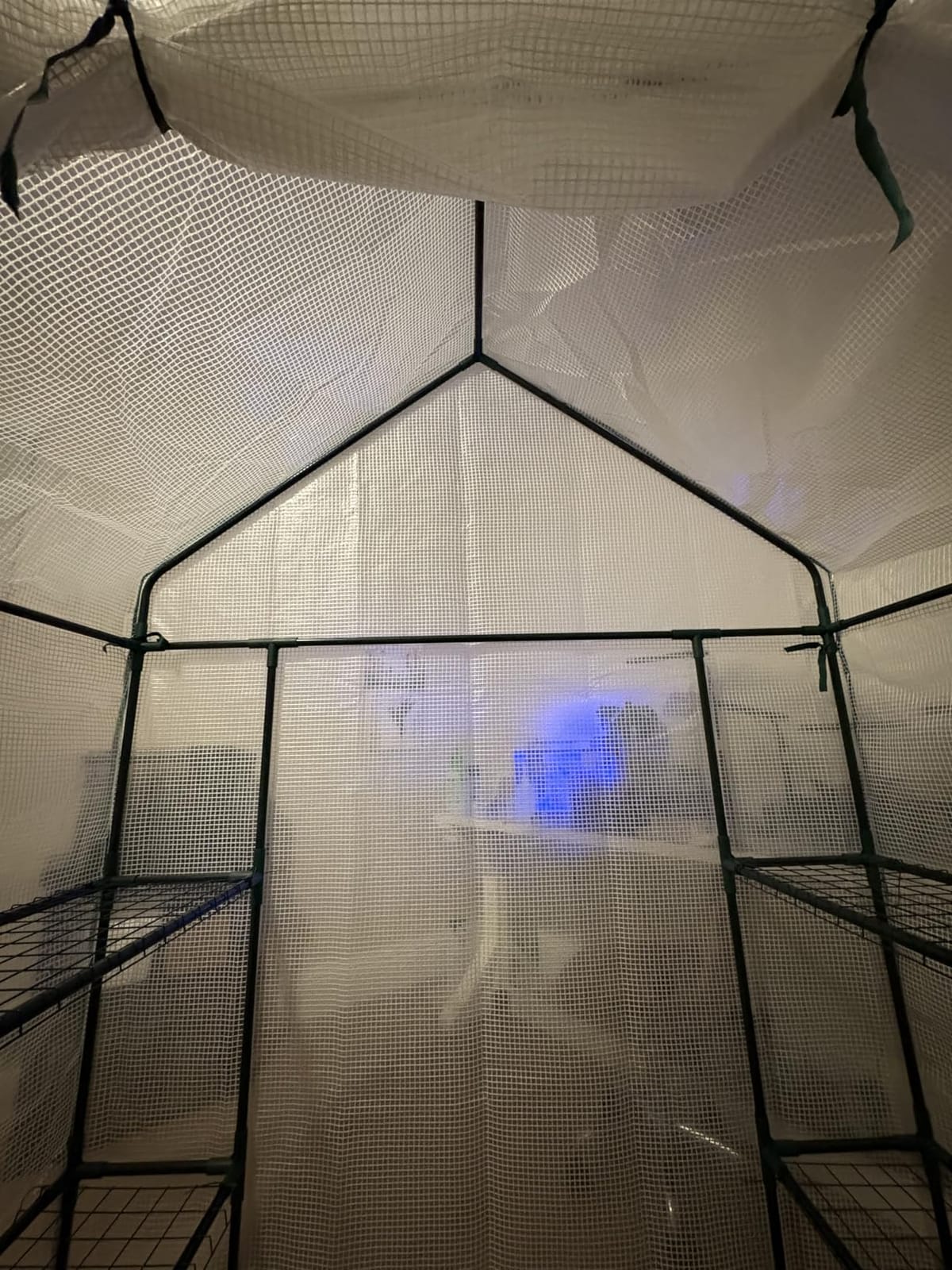56x30x76 Walk-in Greenhouse for Outdoors, Portable Plant House with Shelves | White PE Cover, Three Shelf Levels on Each Side, Roll-Up Zipper Door, Steel Frame, Anchors and Ropes for Seedlings and Herbs customer photo 2