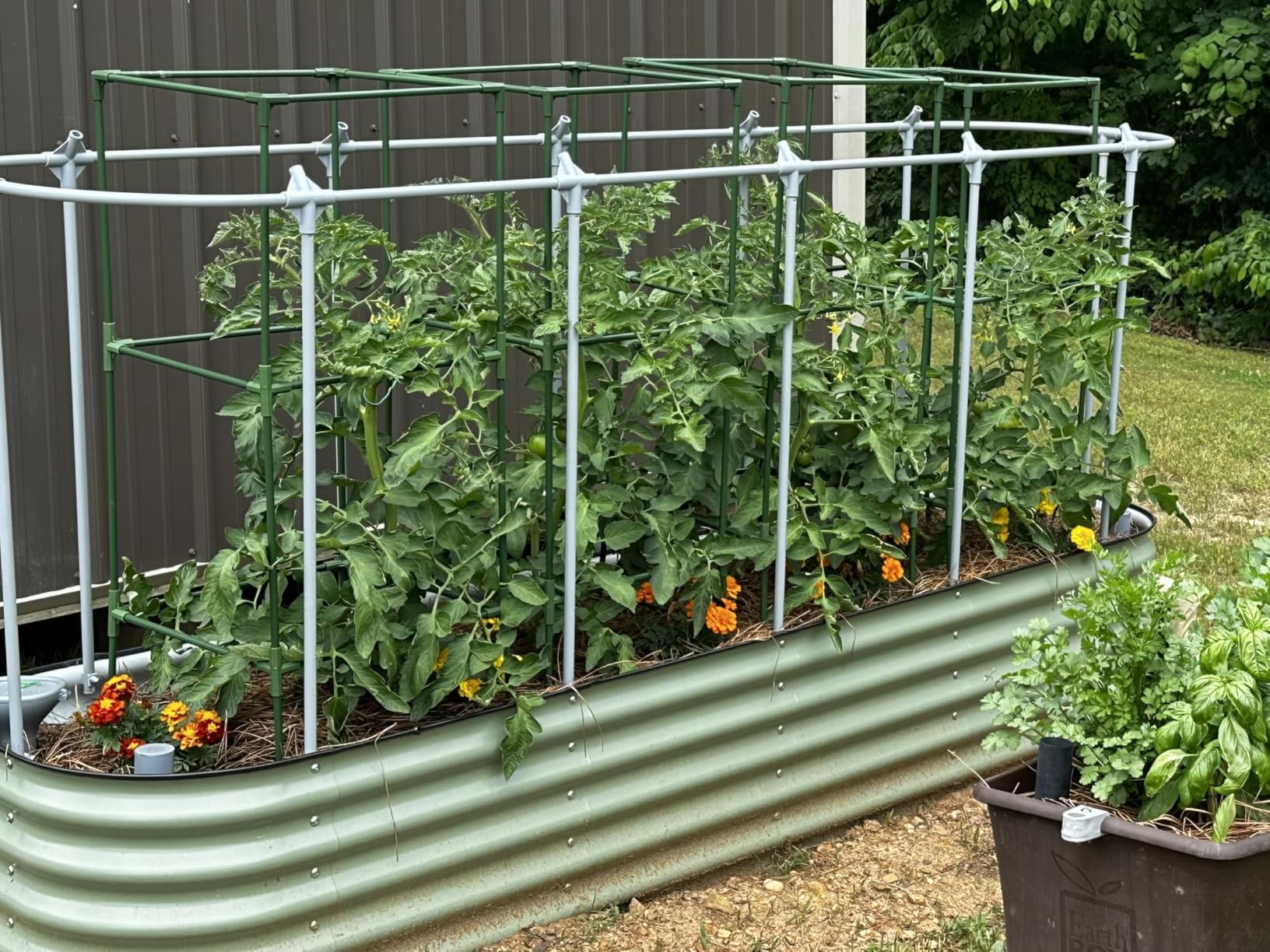 Vego garden 4.0' x 8.0' Mesh Cover System, Pest Control Frame Cover Kit, 35% Shading Rate for Plant Protection, Durable & Heavy-Duty Garden Cover (Garden Beds Not Included) customer photo 1